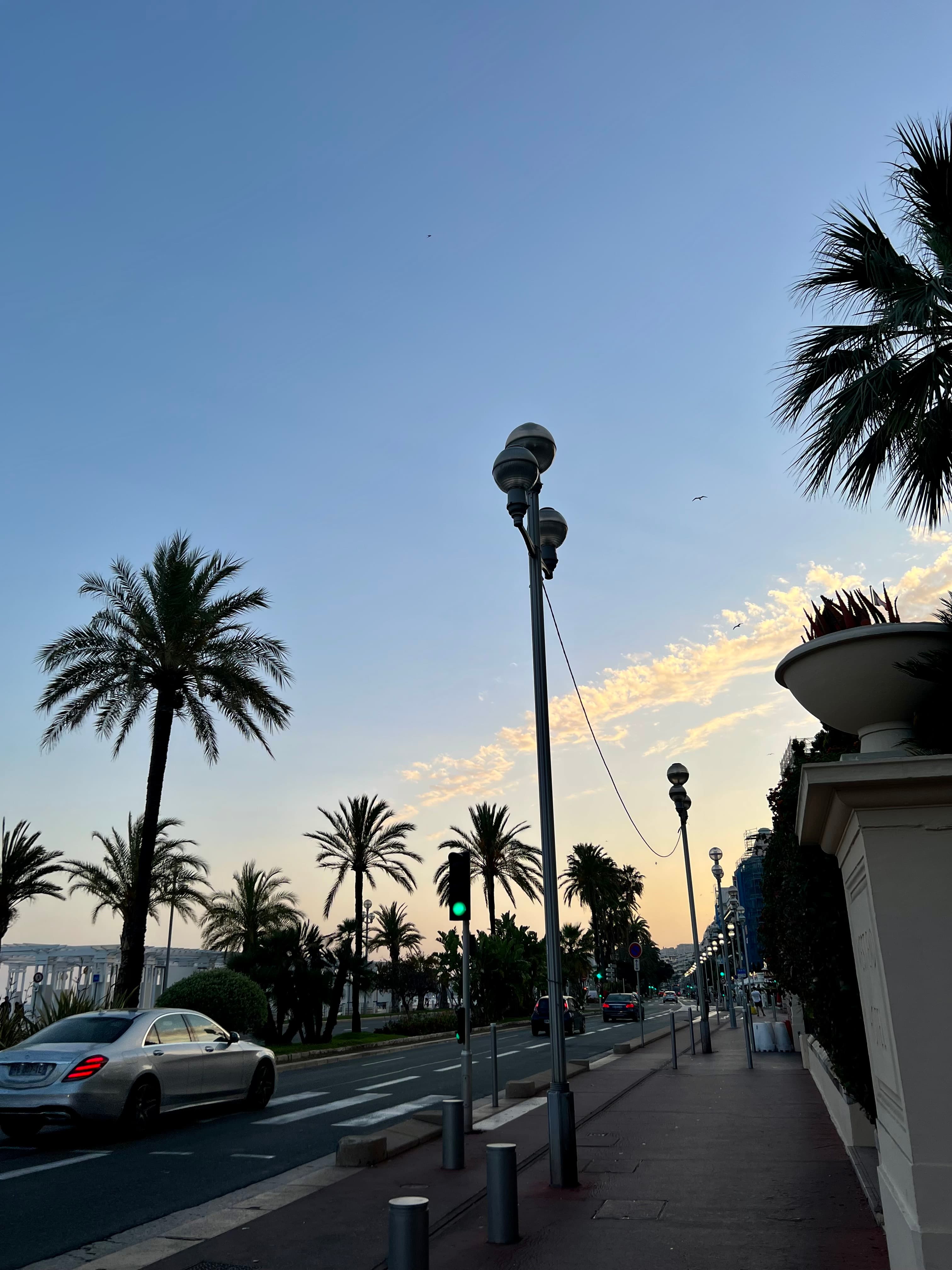 View of a city street and palm trees in silhouette at sunset