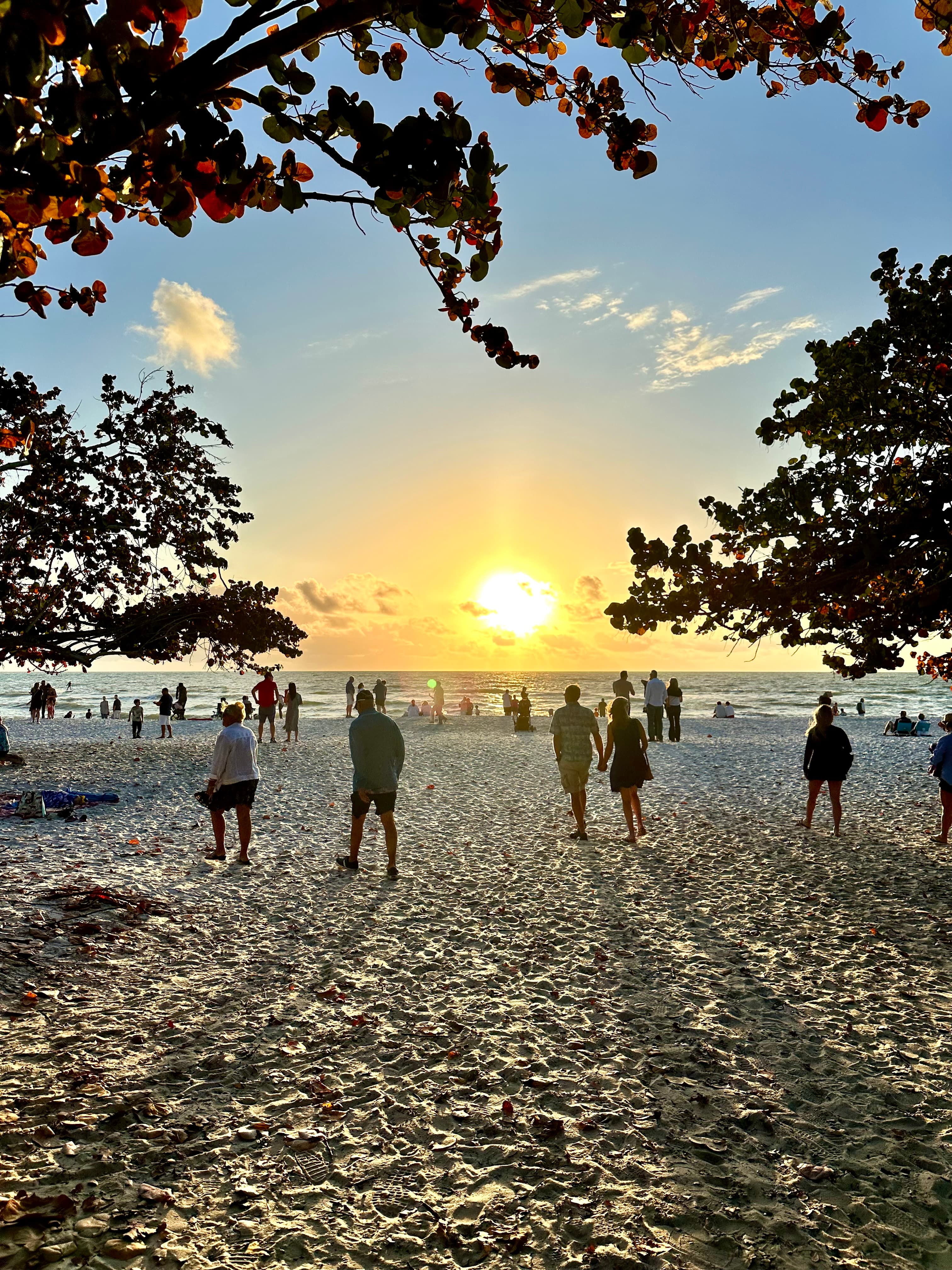 A group of people standing on a beach with the sun setting in the background and trees in the foreground.