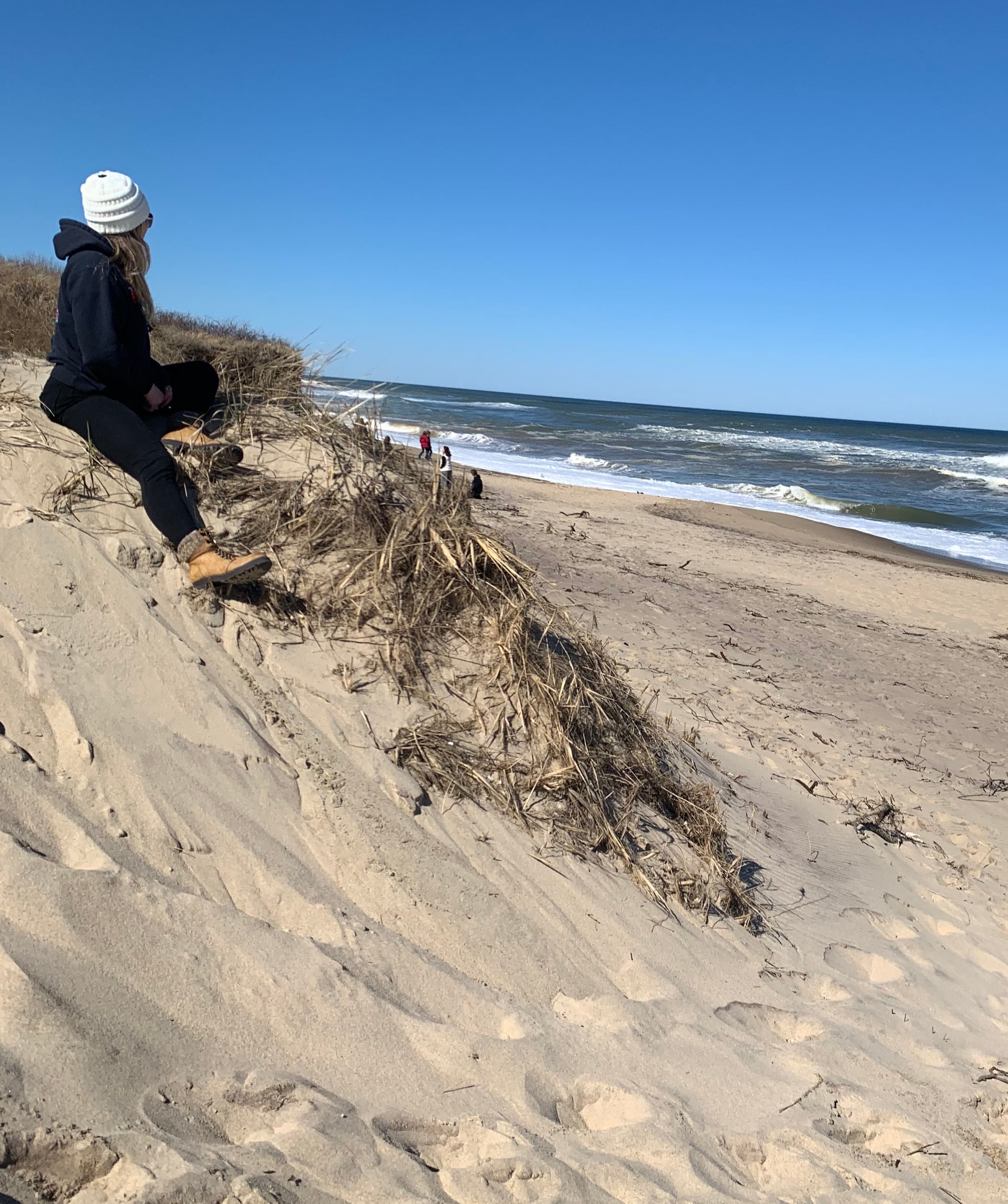 Advisor sitting on the sand of an empty beach and looking out towards the sea under clear skies