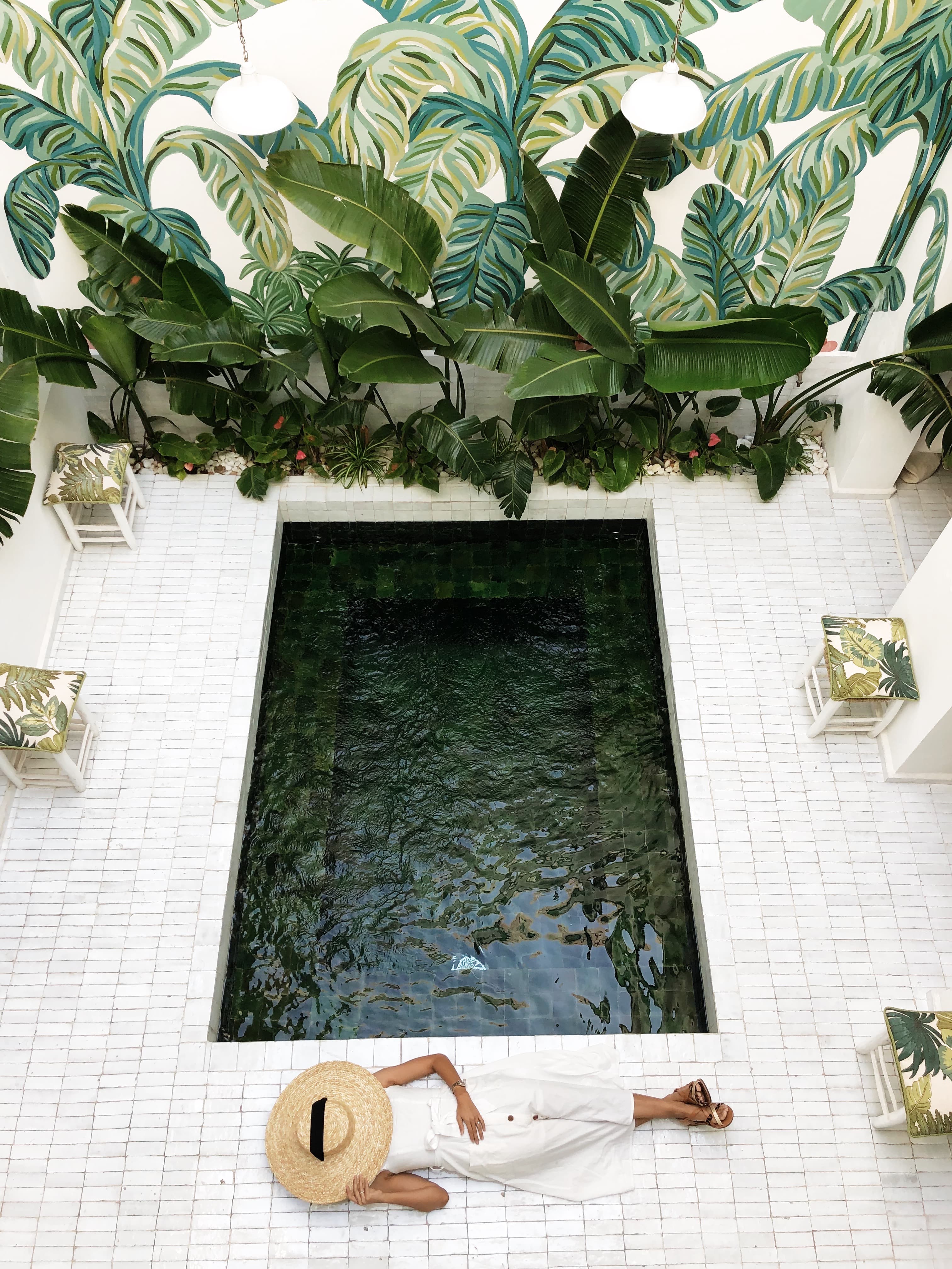 Overhead view of advisor lounging beside a small plunge pool surrounded by leafy palms