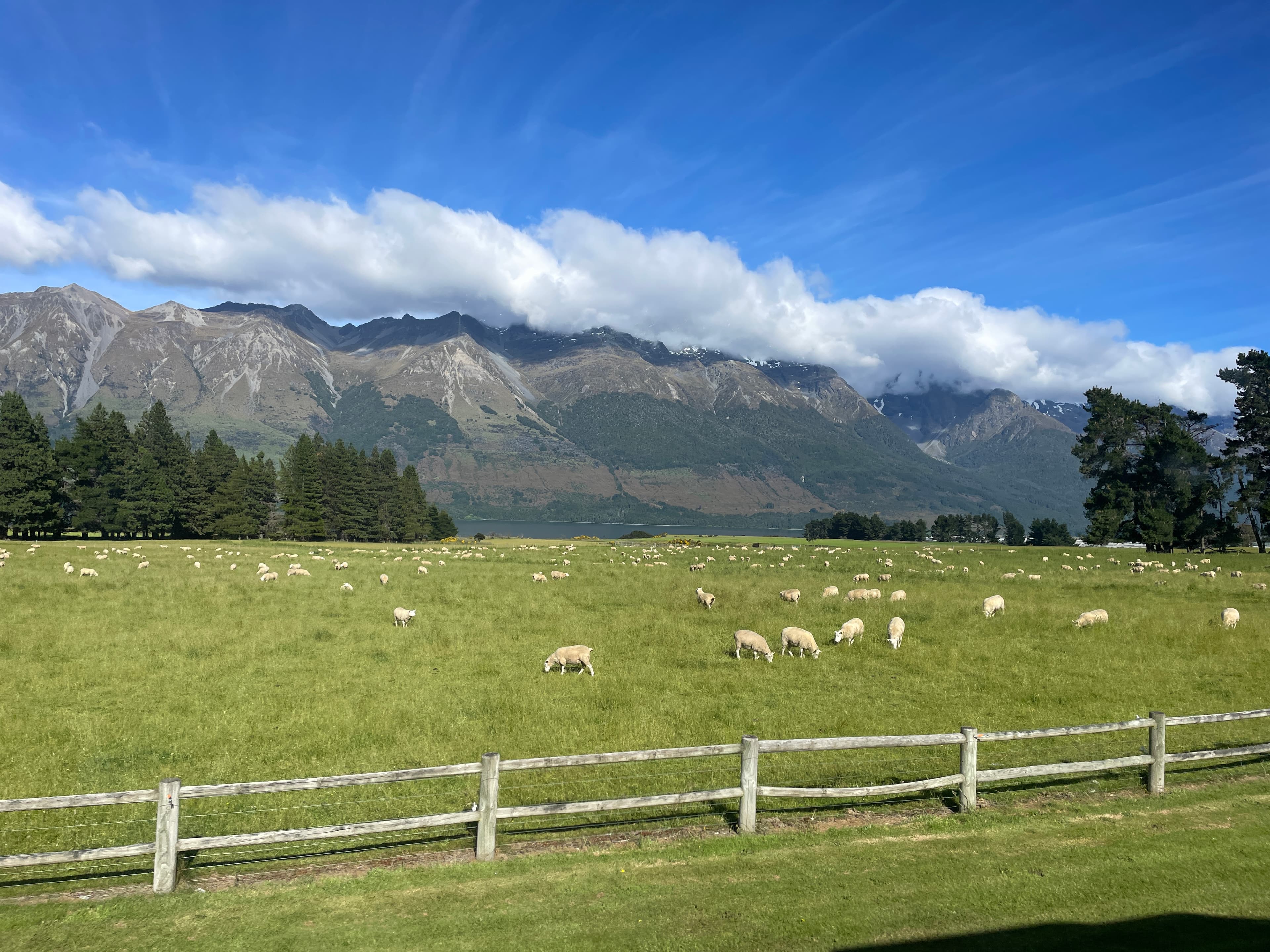 View of a pasture during the daytime.