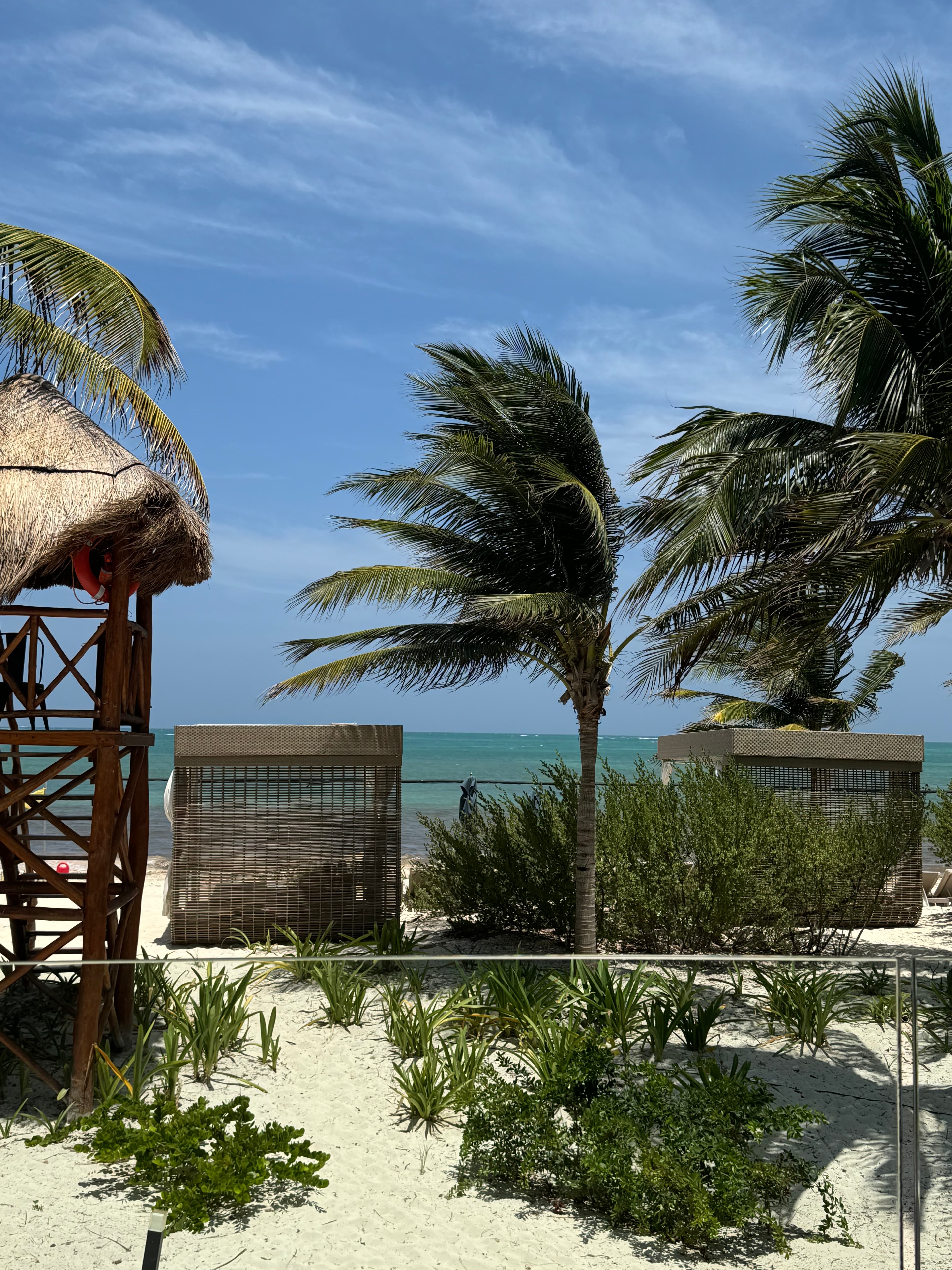 A view of beachside seating with palm trees waving in the wind and a cabana on one side.