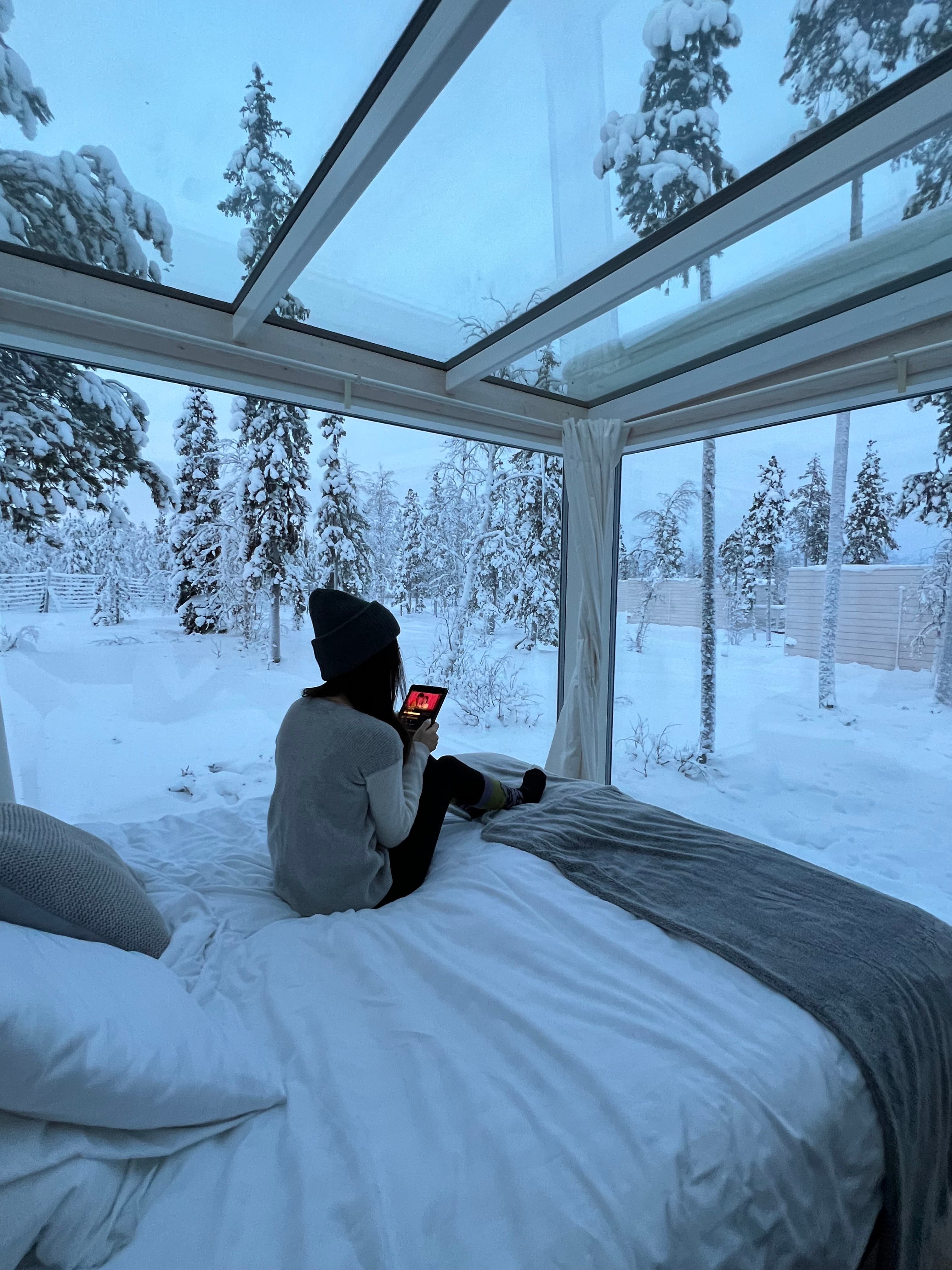 Snow forest from room.