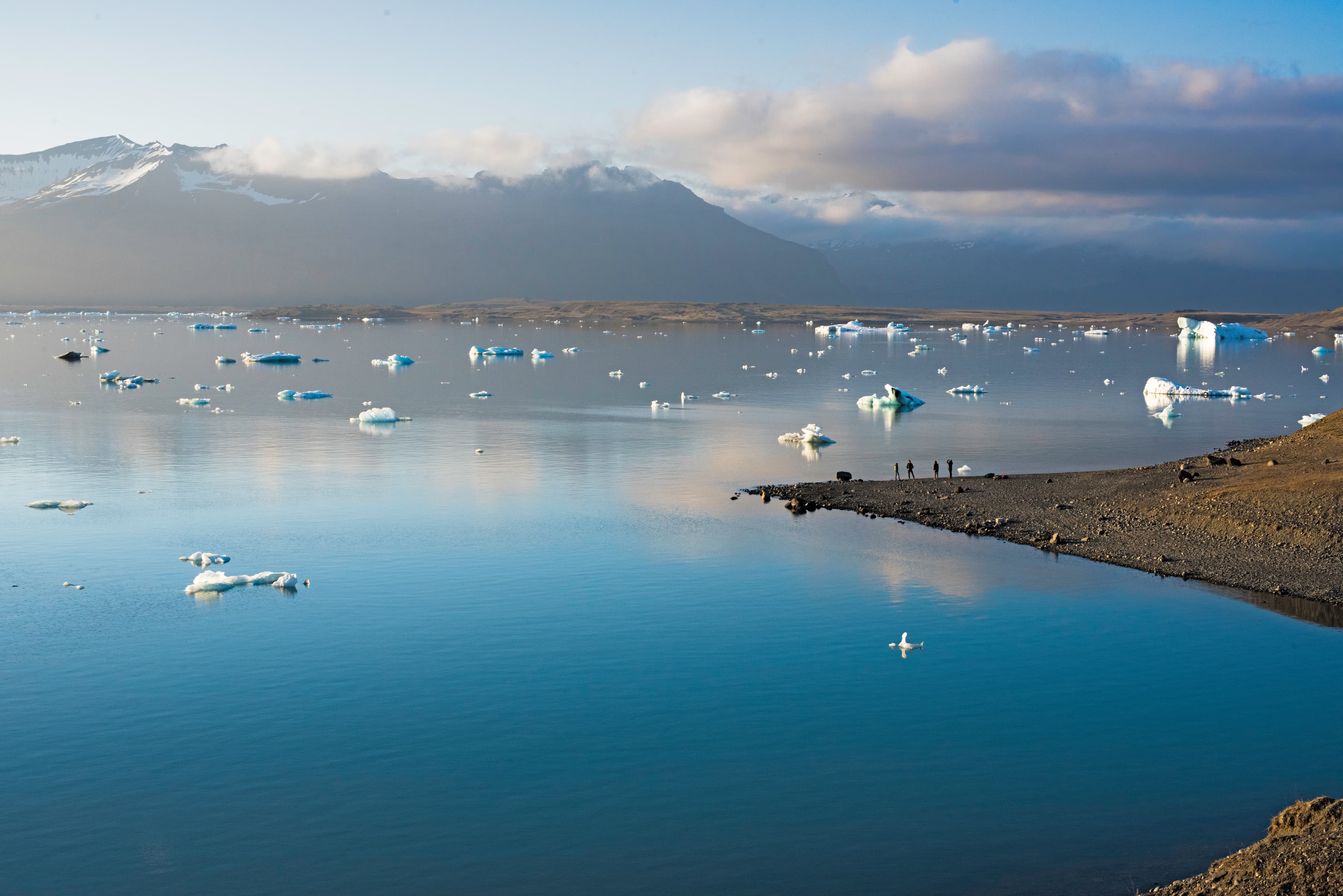 View of a glassy sea with small chunks of ice floating on the surface and mountains in the distance