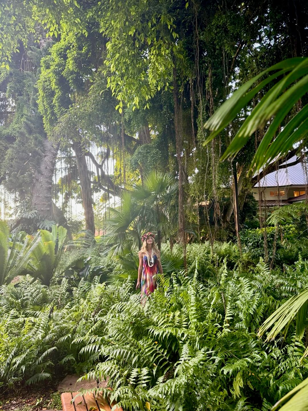 A person standing in a forest area surrounded by lush green plants