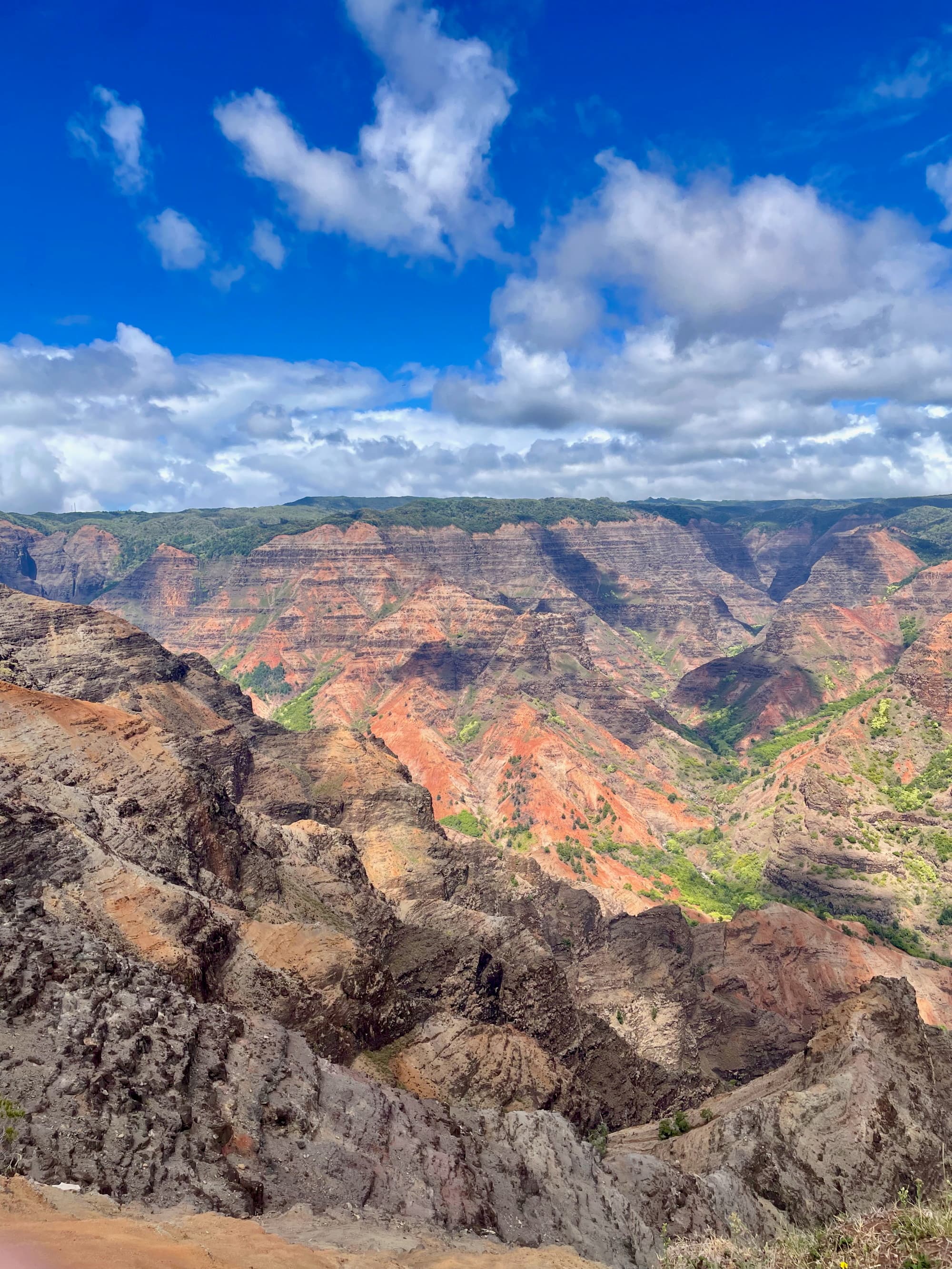 Waimea-Canyon - Monica Reason