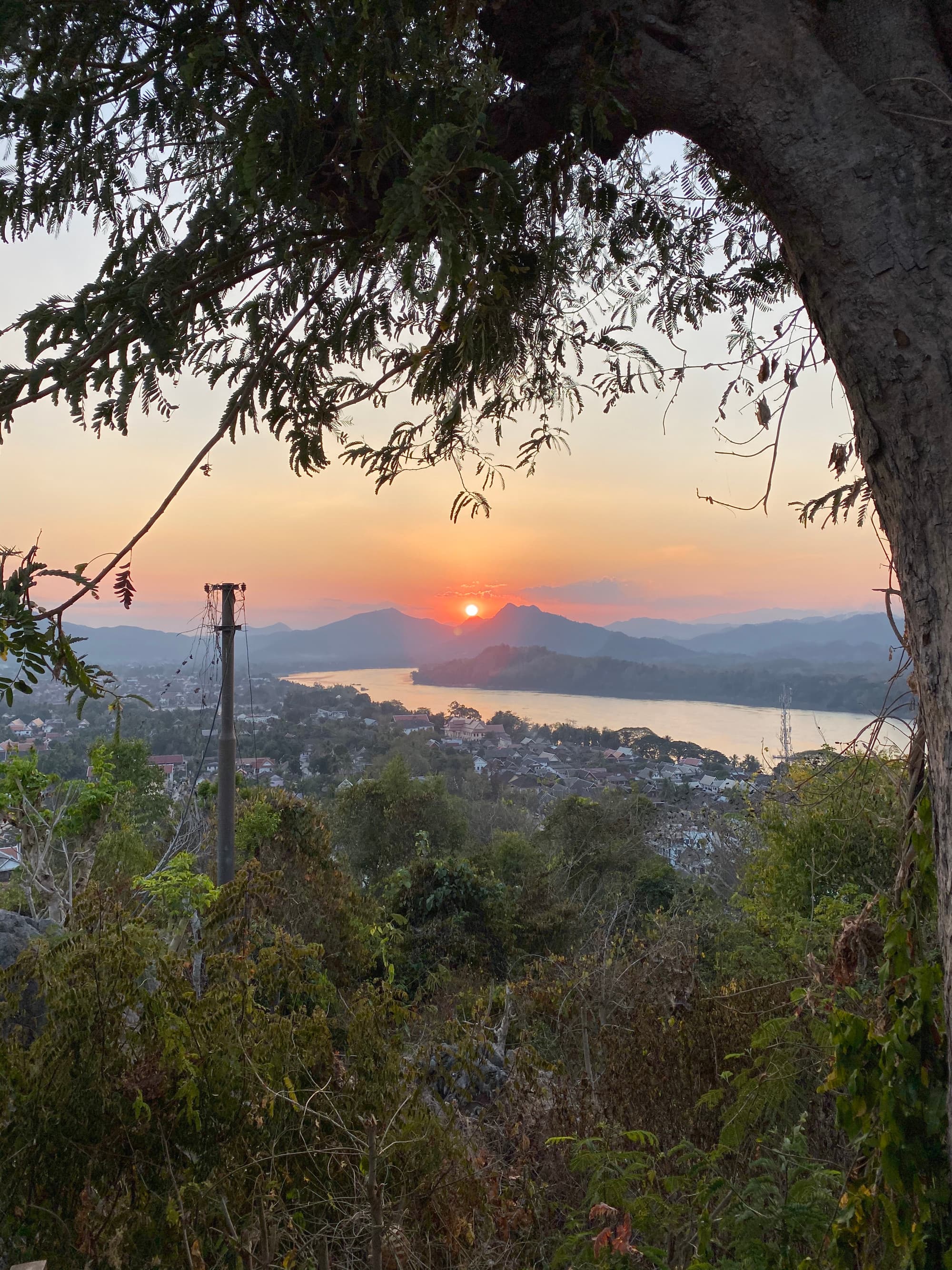 A sunset in the distance over a mountain range with a forest in the forefront