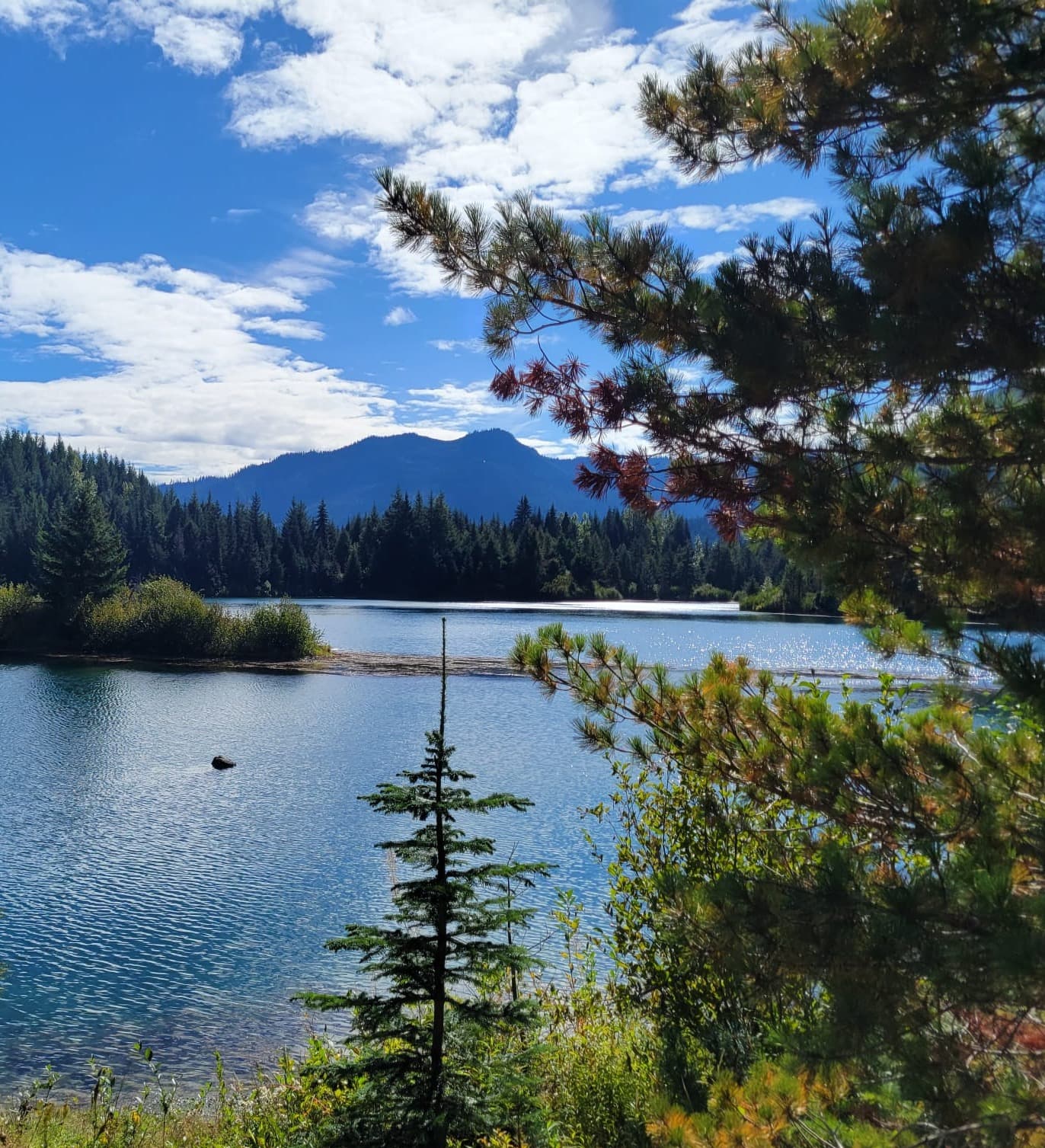 A body of water behind a group of tree with a mountain range in the distance