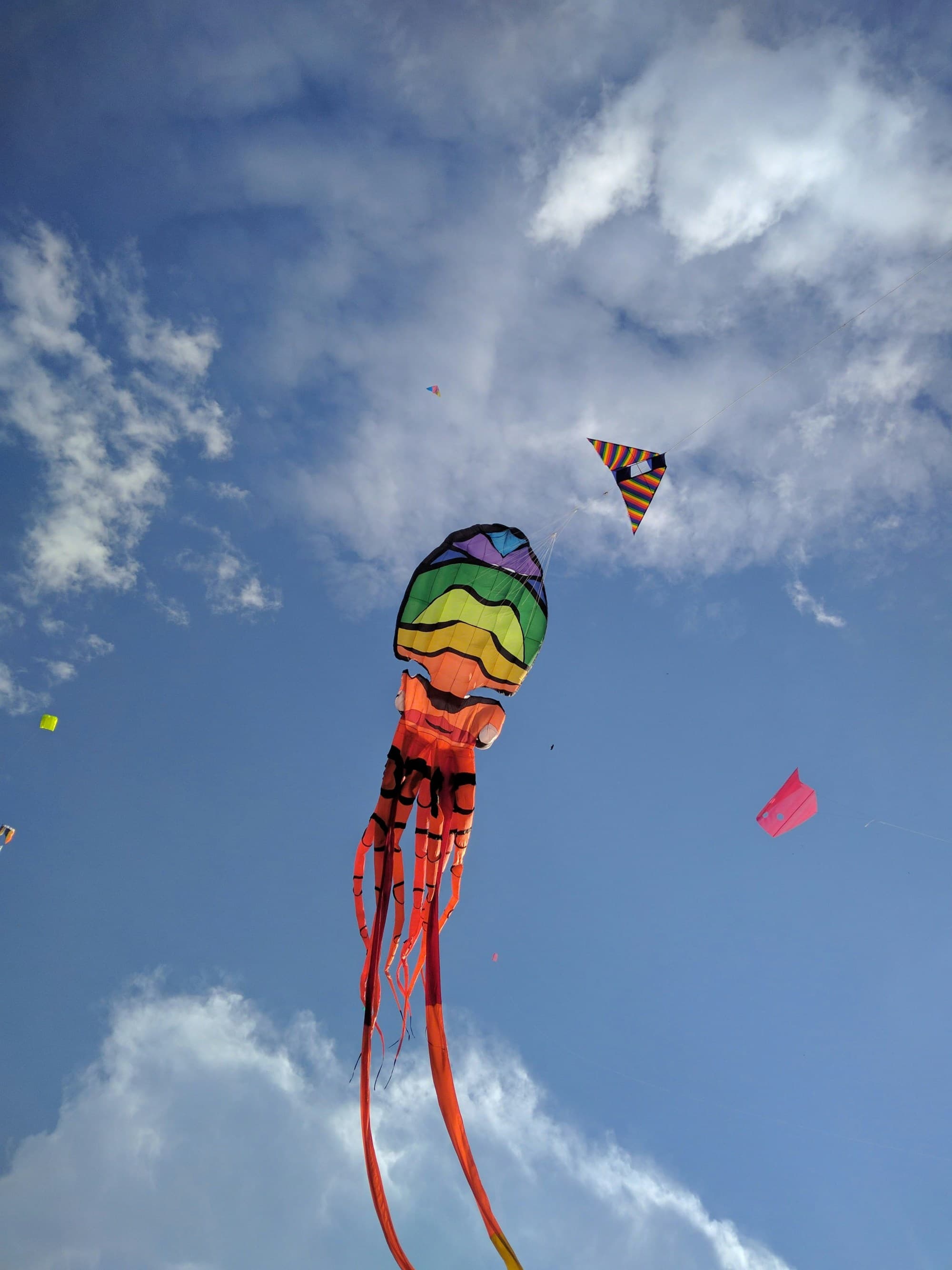 A colorful kite shaped like a jellyfish with long tentacles soars in a blue sky with scattered clouds.