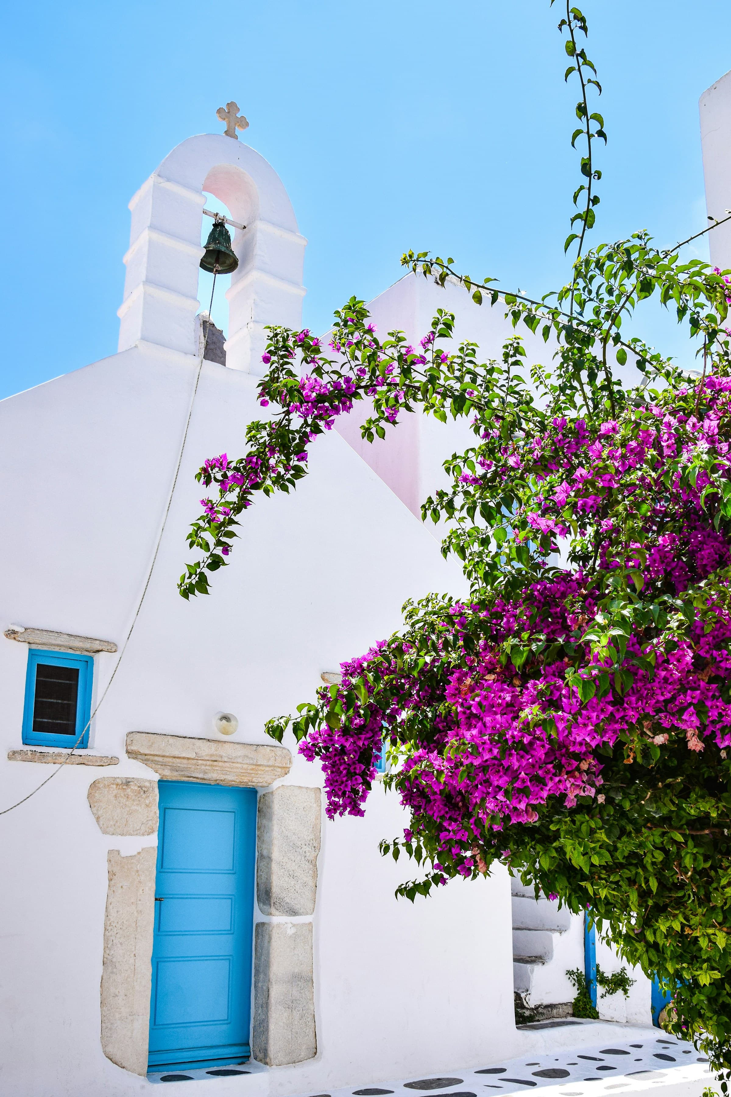 A building with a blue door and a tree with flowers on it is typical in Mykonos.