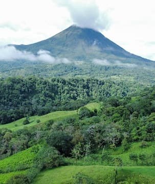 A forest at the base of a mountain during the daytime