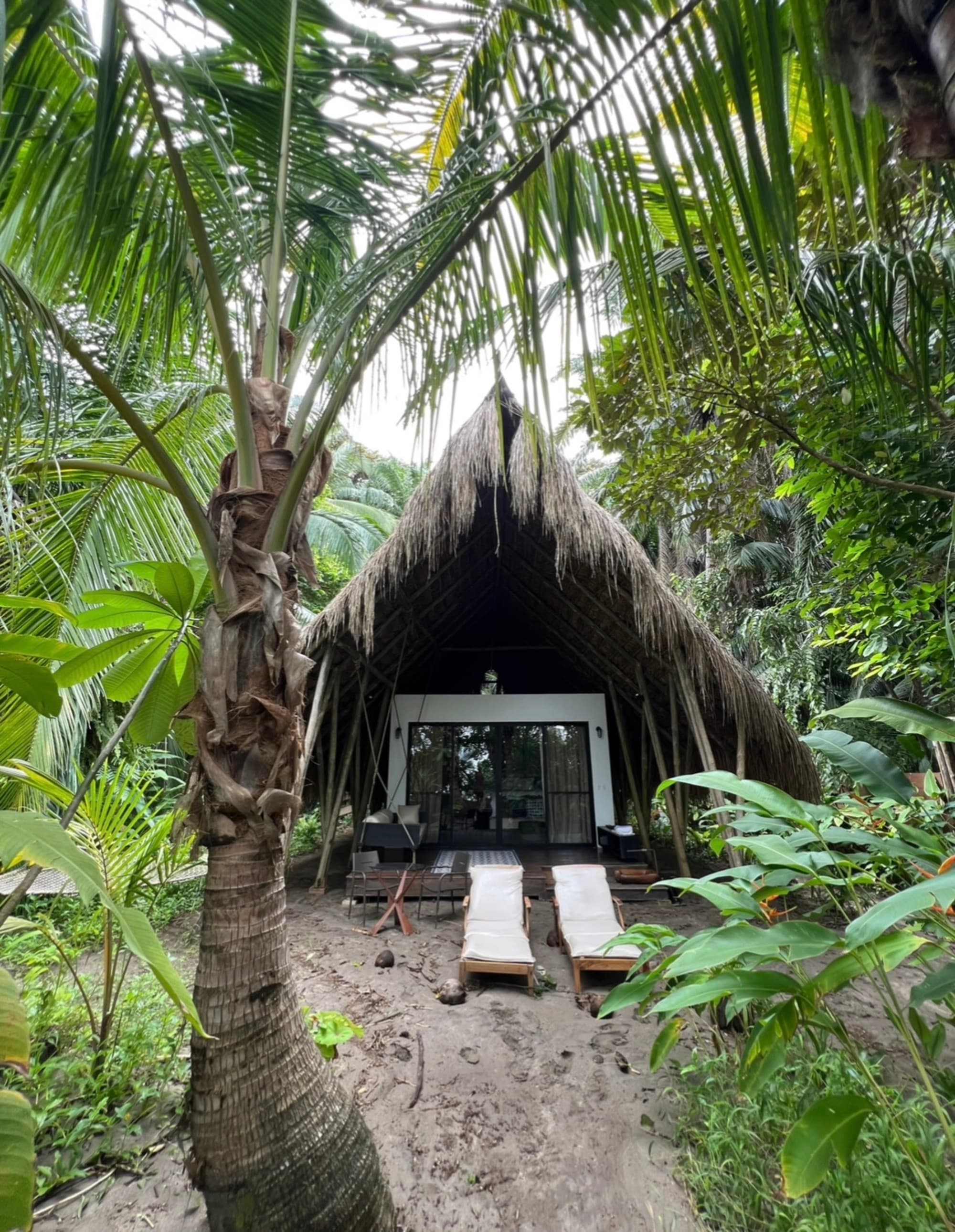 A picture of a hut type bungalow near a forest.