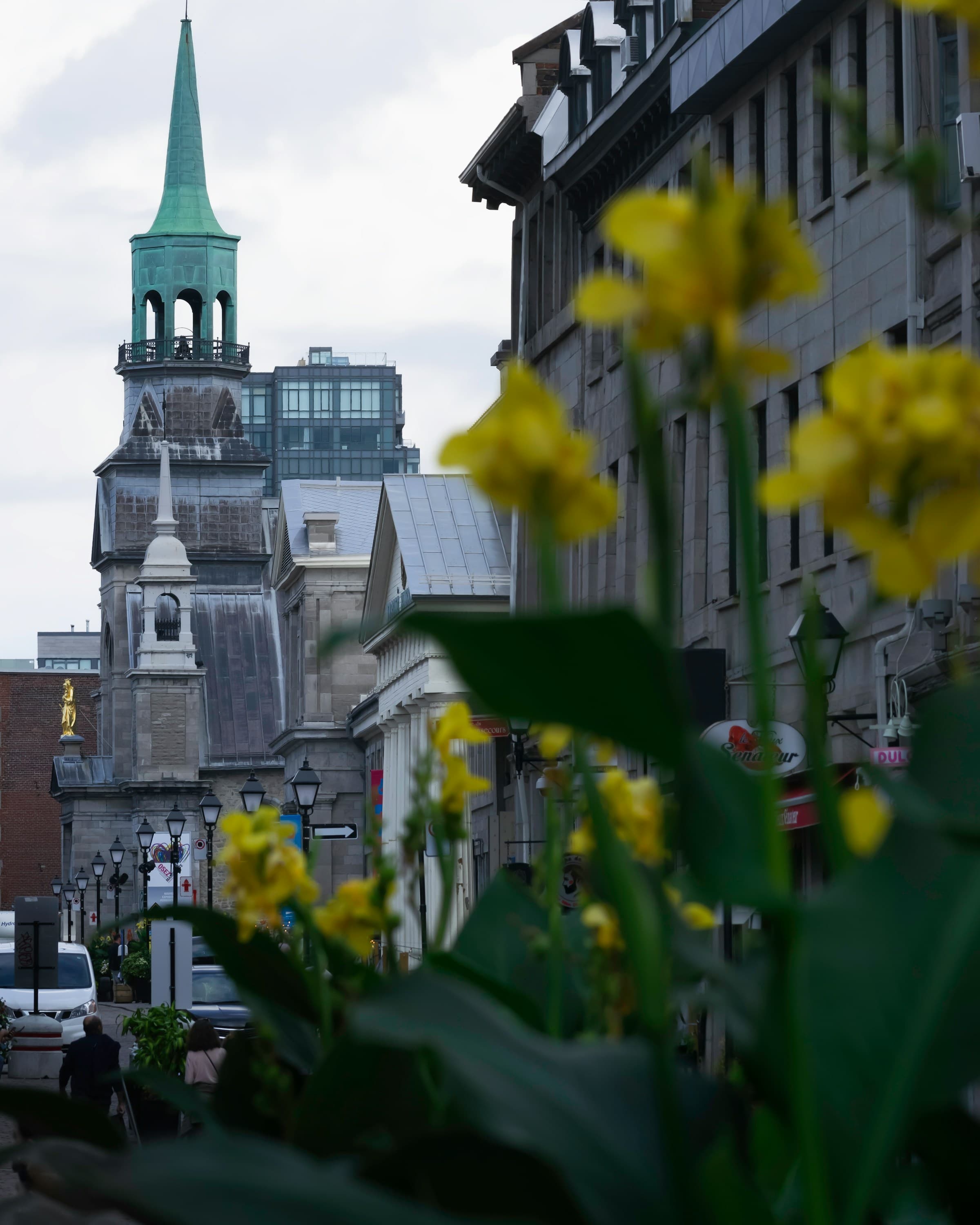 Old Montreal view with a chuch in the foreground.