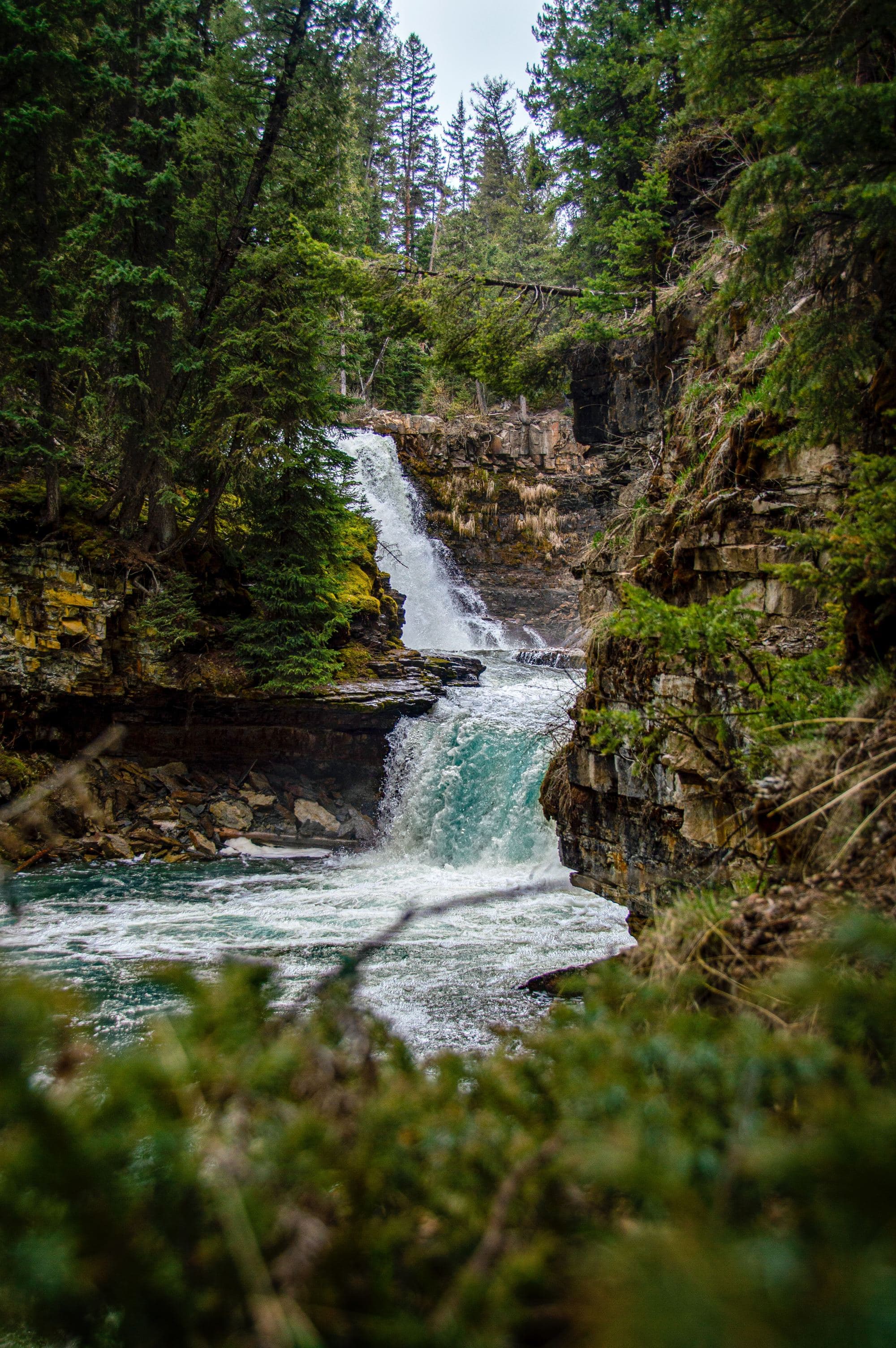 icy blue waterfall cascading down a lush alpine alcove