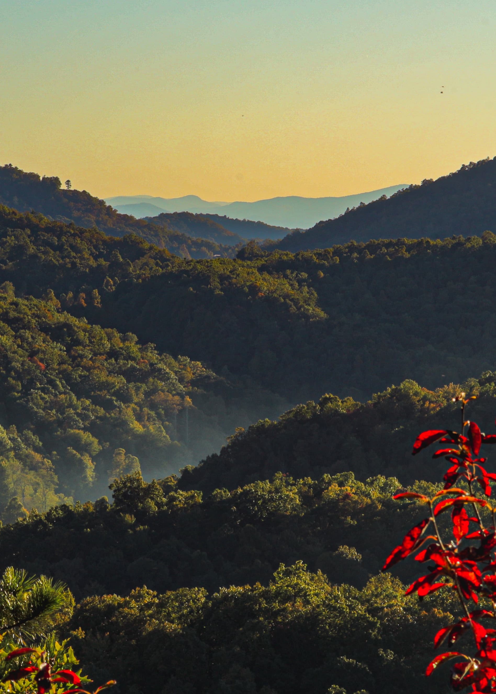 Big view of the mountains in Asheville, NC.