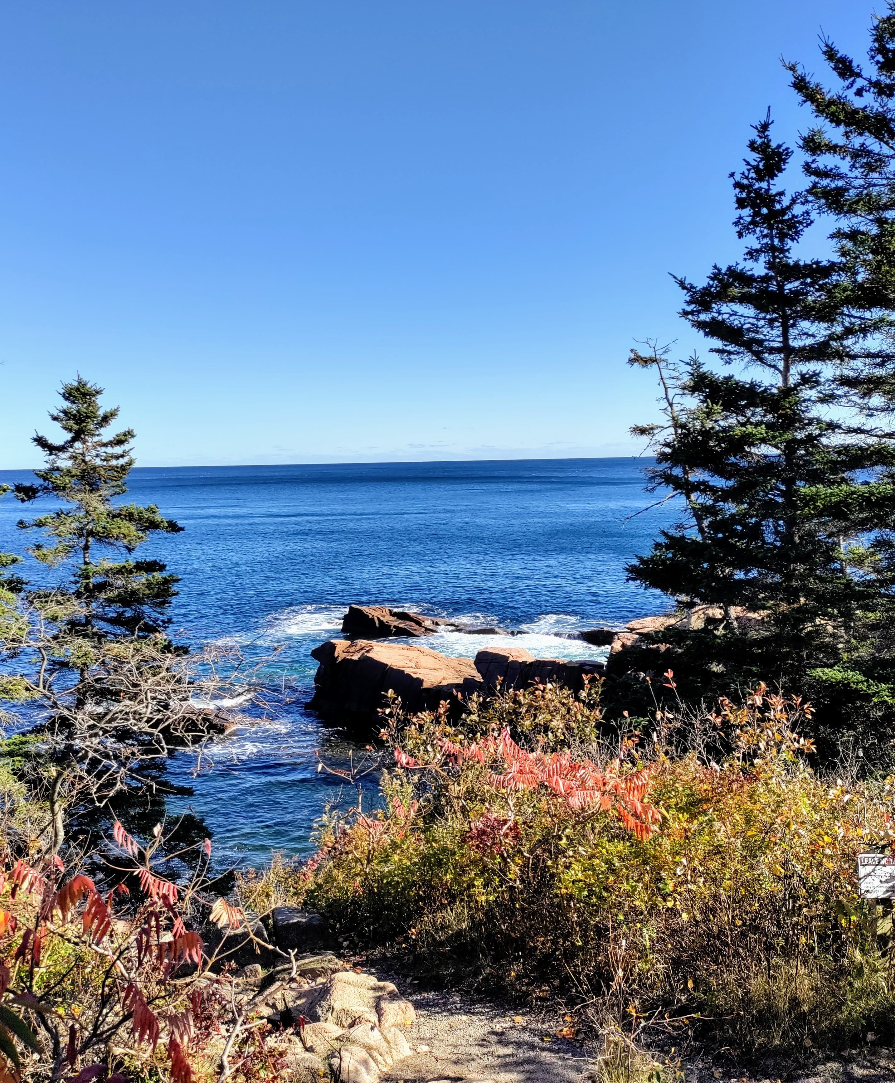 Scenic view of Arcadia National Park.