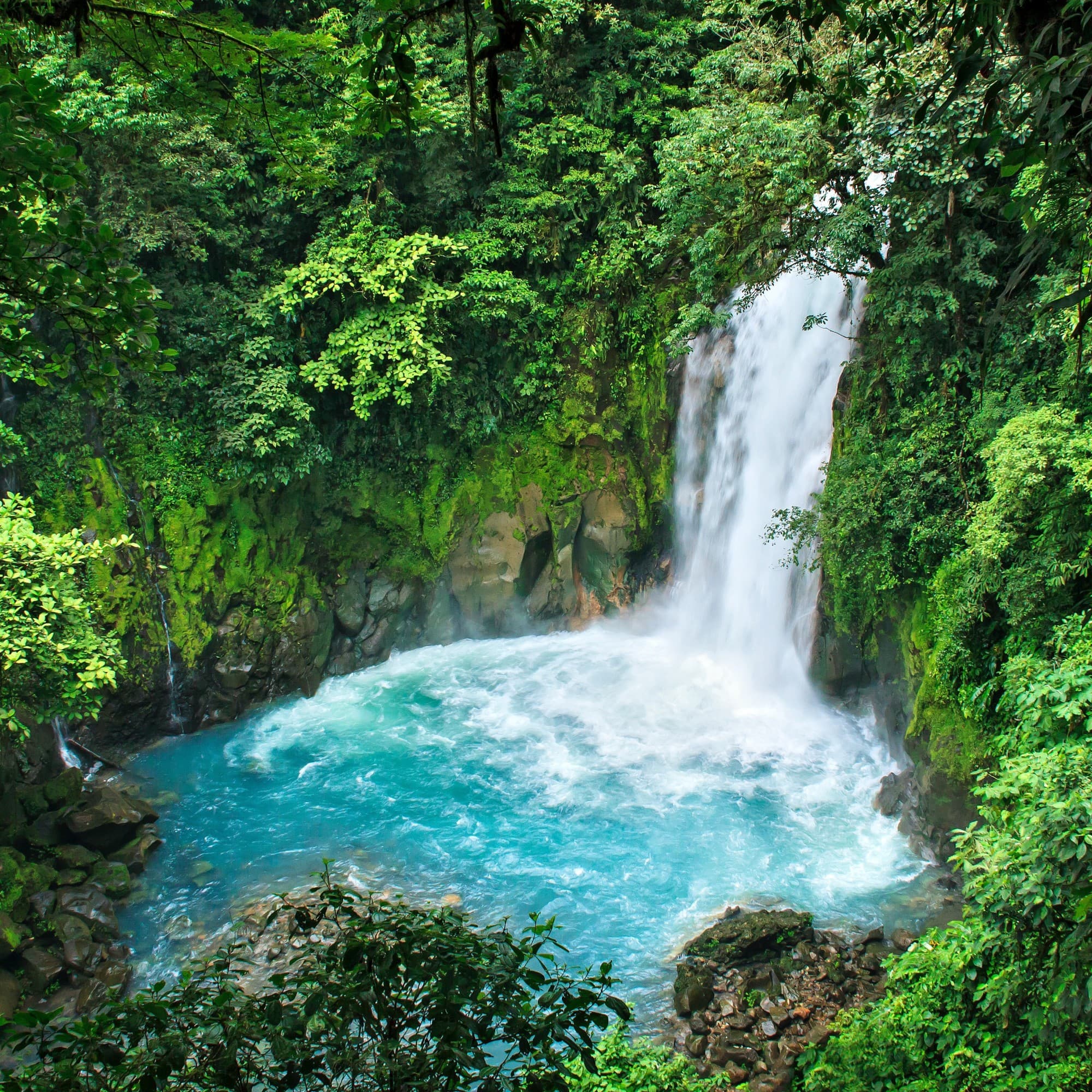 A waterfall between the forest at daytime.
