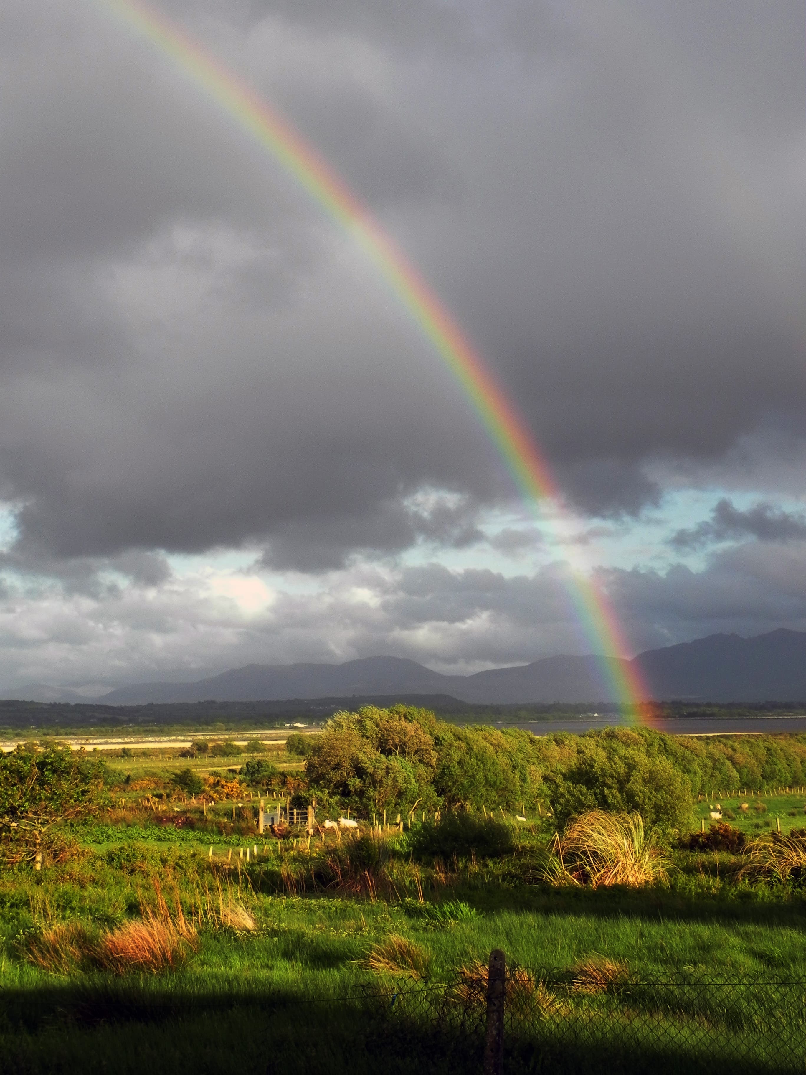 A rainbow across a field in Ireland.