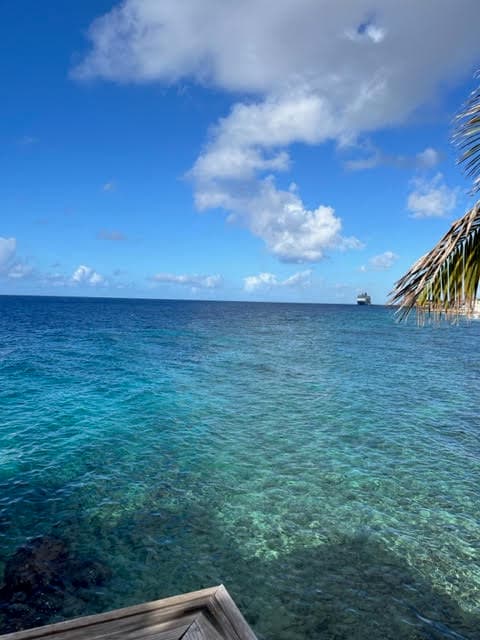 A view of crystal clear turquoise waters and the edge of a palm tree to the right under a cloudy blue sky.