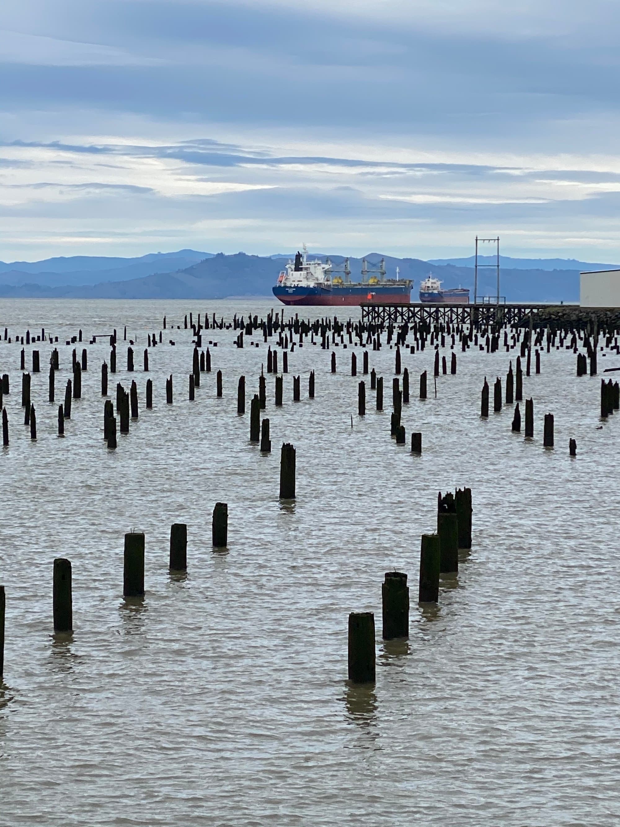 harbor with boats and mountain range in the distance