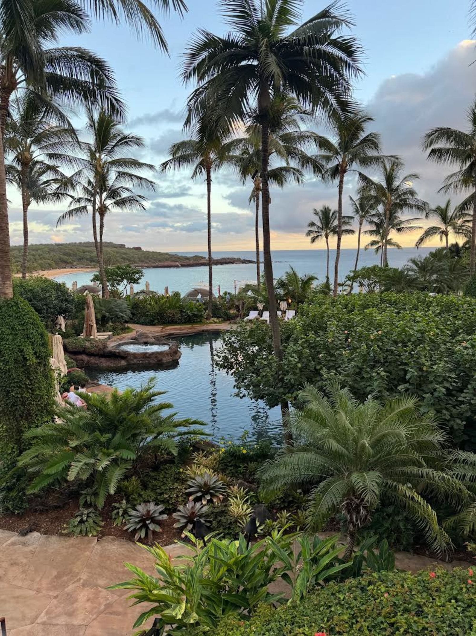This image captures a serene and picturesque landscape of a tropical garden overlooking the sea during sunset.