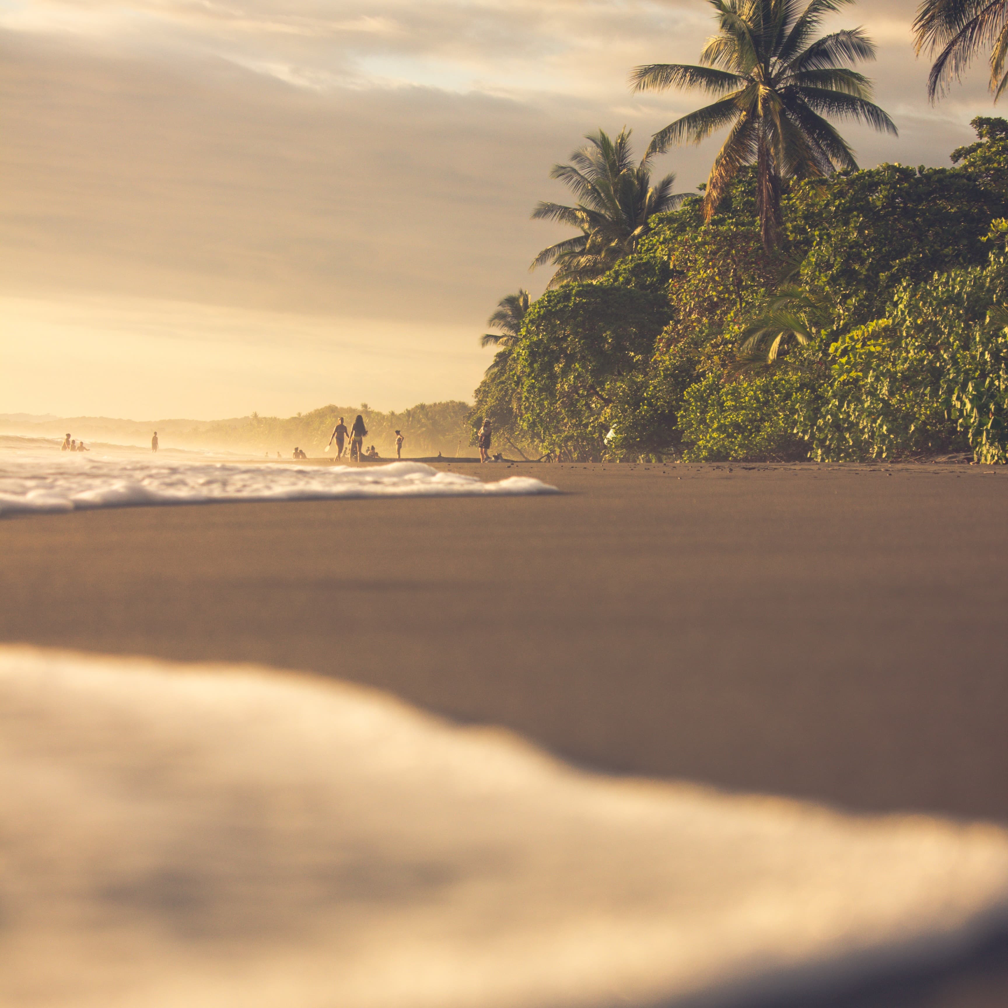 People during daytime on the beach