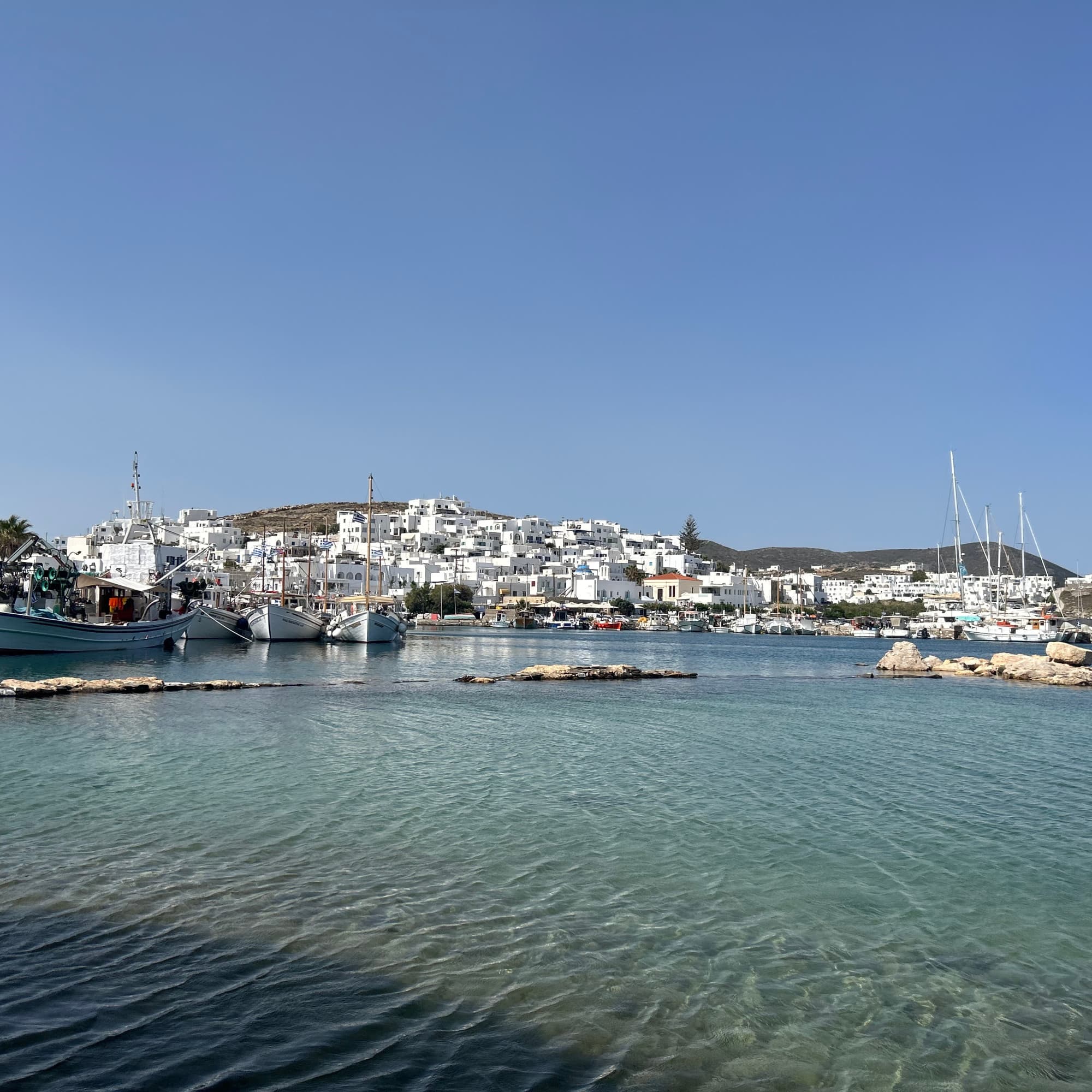 A scenic view of water surrounded by boats and white color houses at the shore.