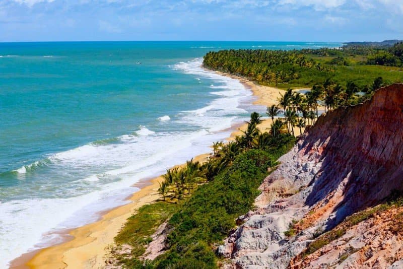 aerial view of beach and ocean during daytime