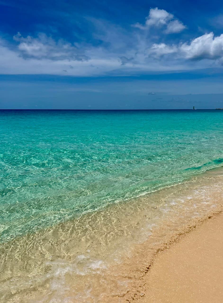 The shore of a beach during daytime