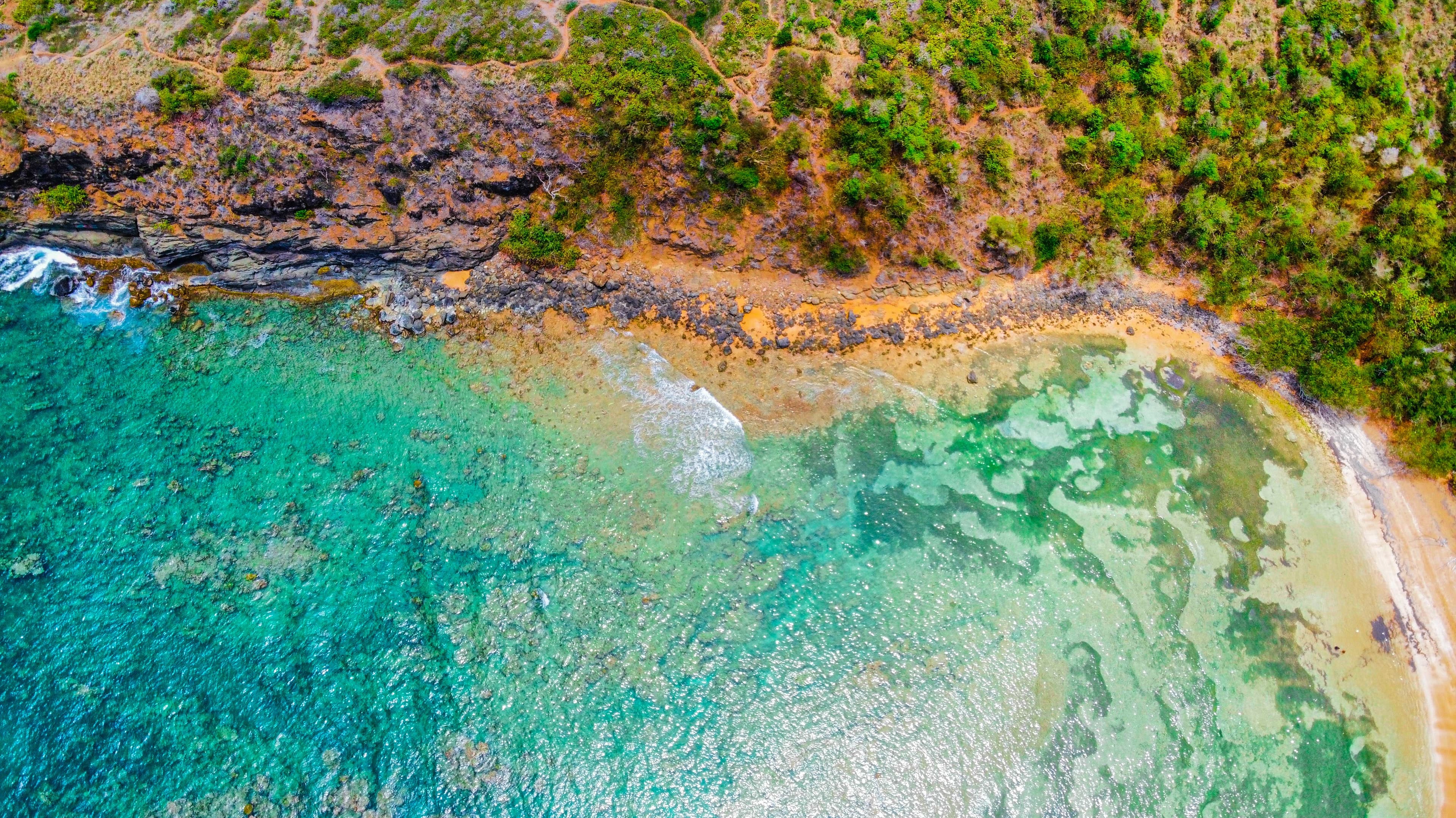 an aerial view of a beach and trees