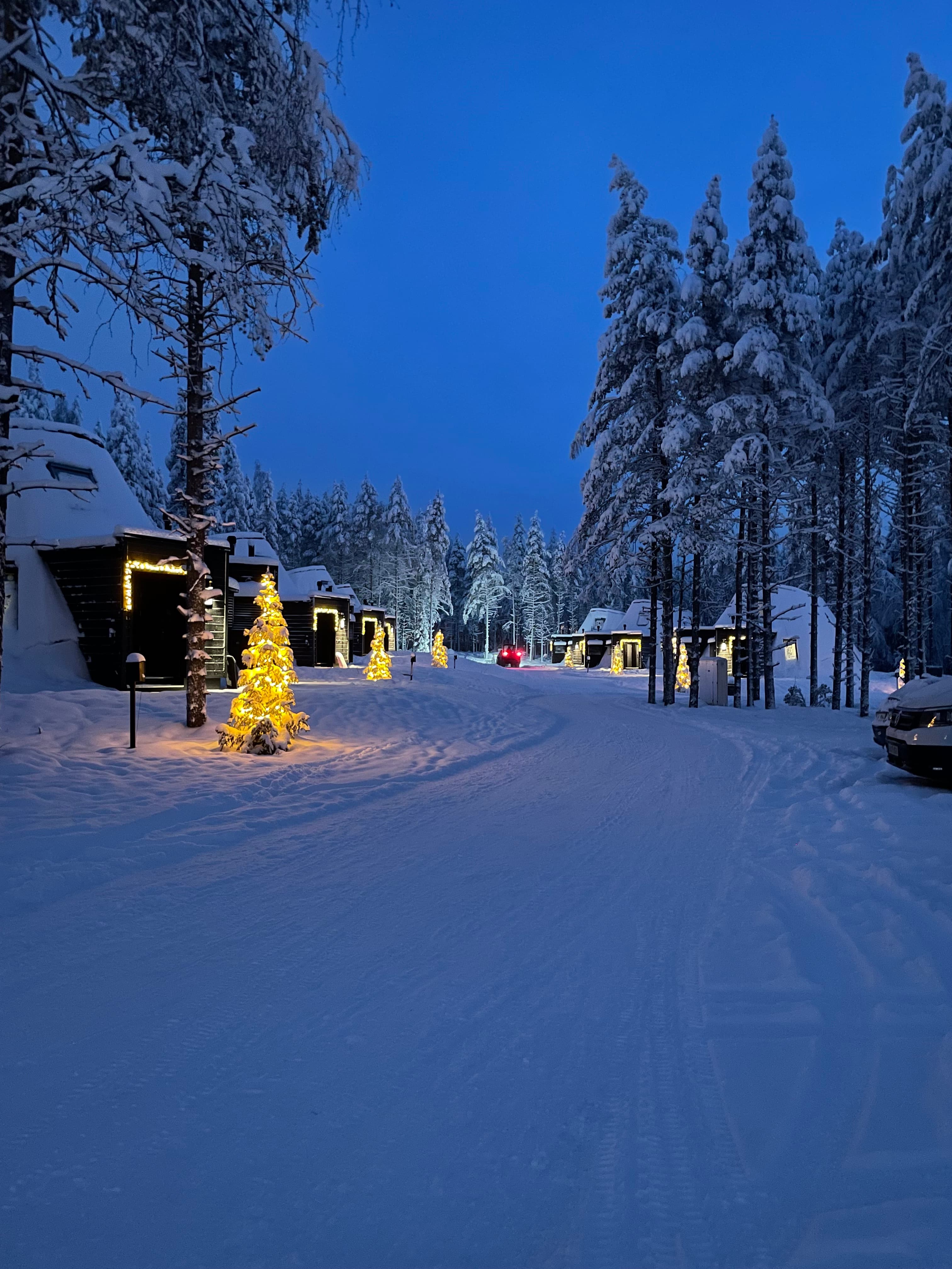 Polar Explorer Icebreaker Cruise is a once-in-a-lifetime experience.