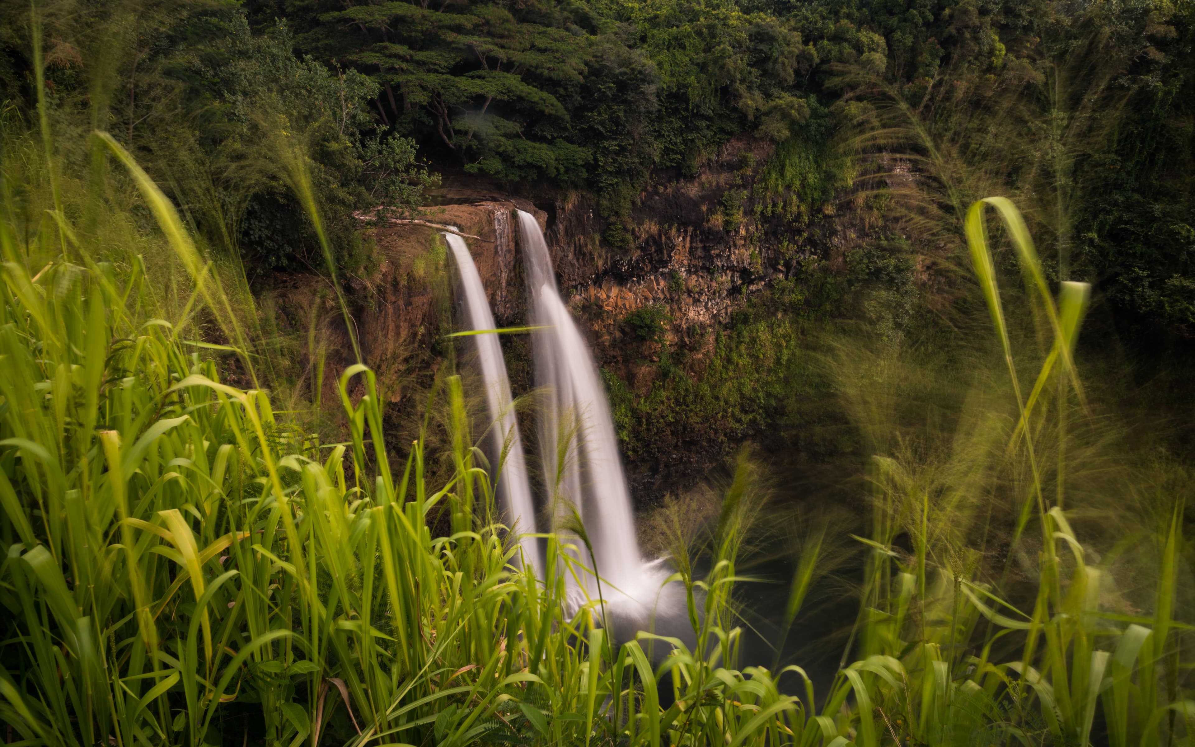 A waterfall in the middle of a rainforest.