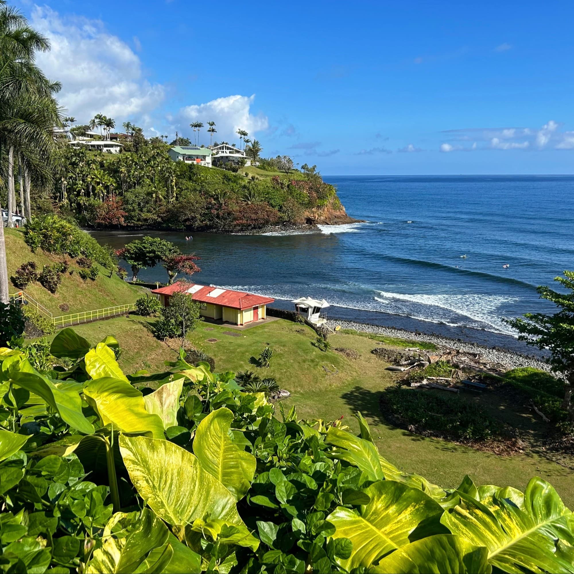 Blue ocean with houses and greenery on the beach.