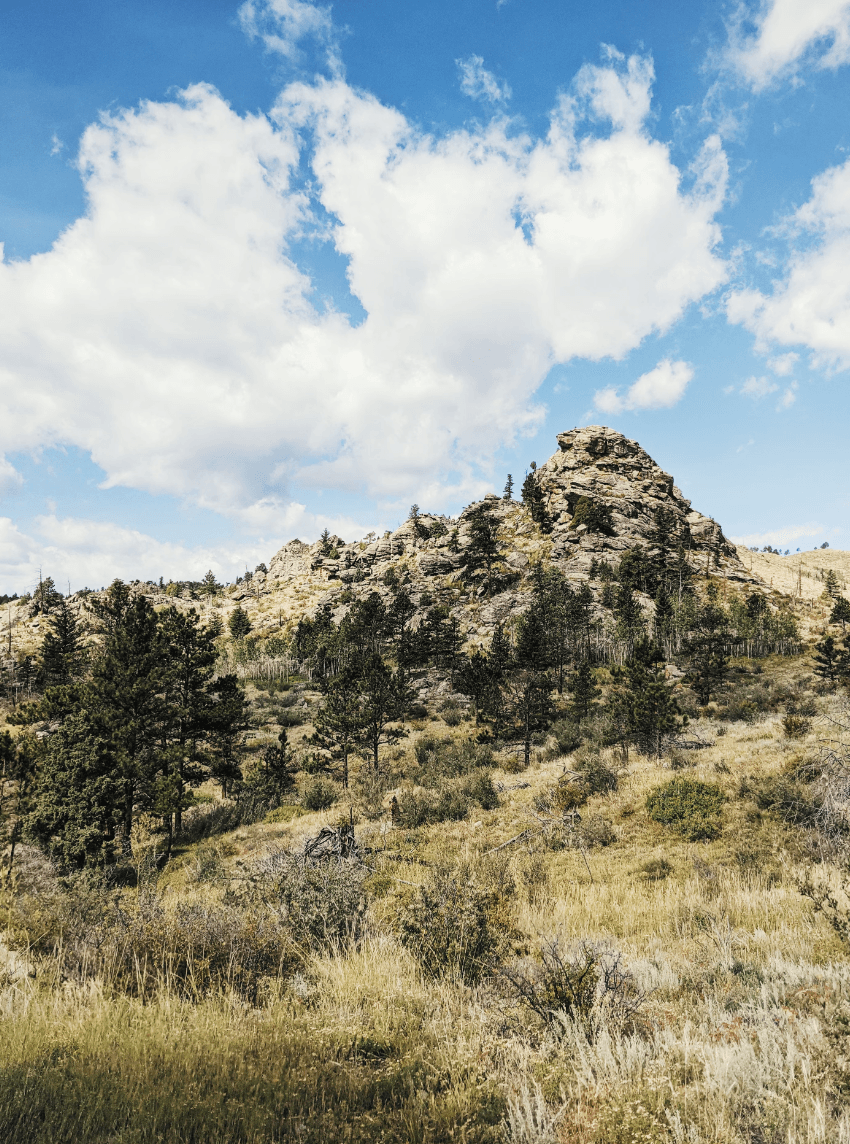 A view of a rocky mountain surrounded by wild grass and trees beneath a cloudy blue sky.