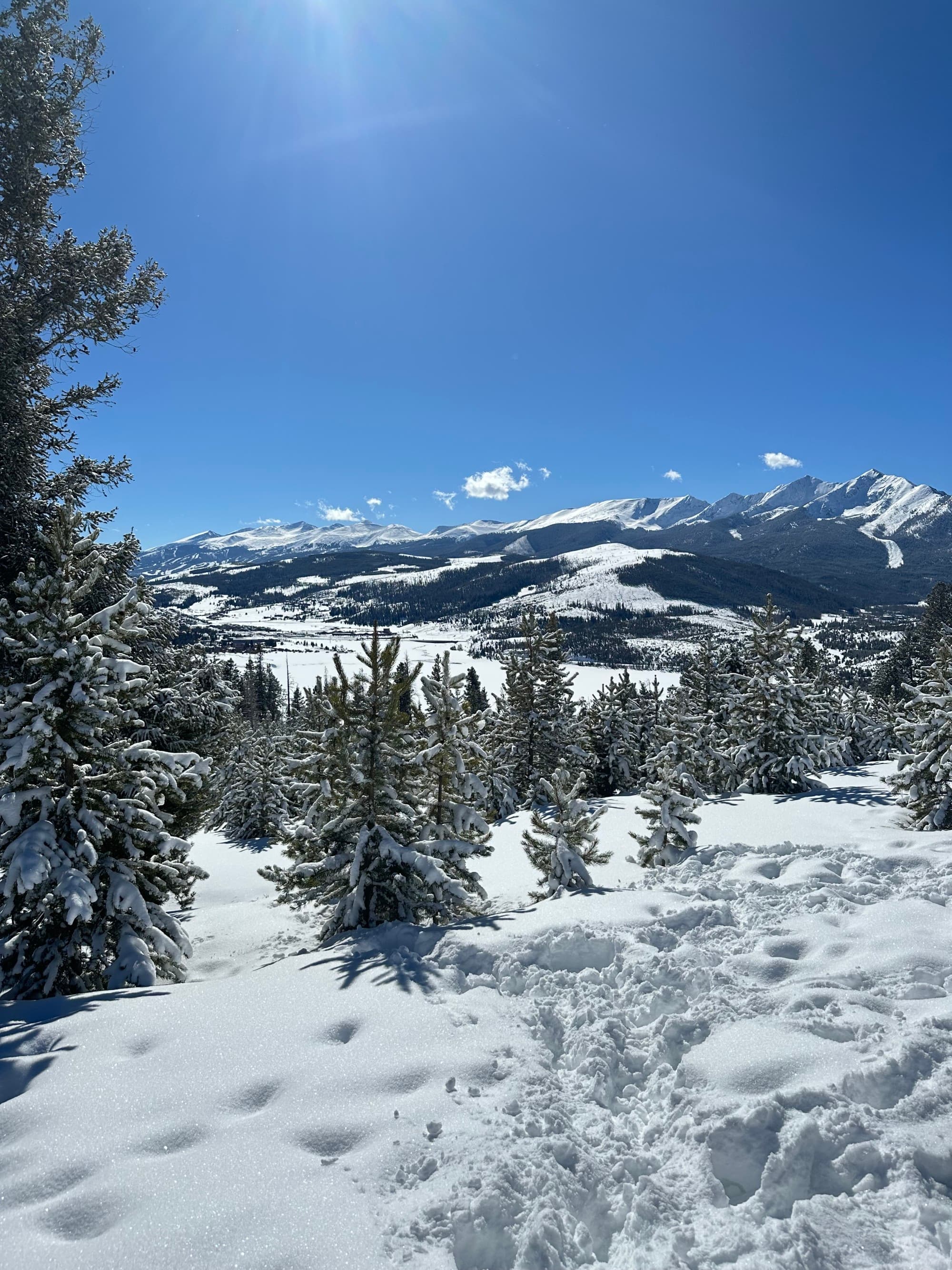 A picture of a scenery where the ground and mountains are covered with snow and tall trees during daytime.