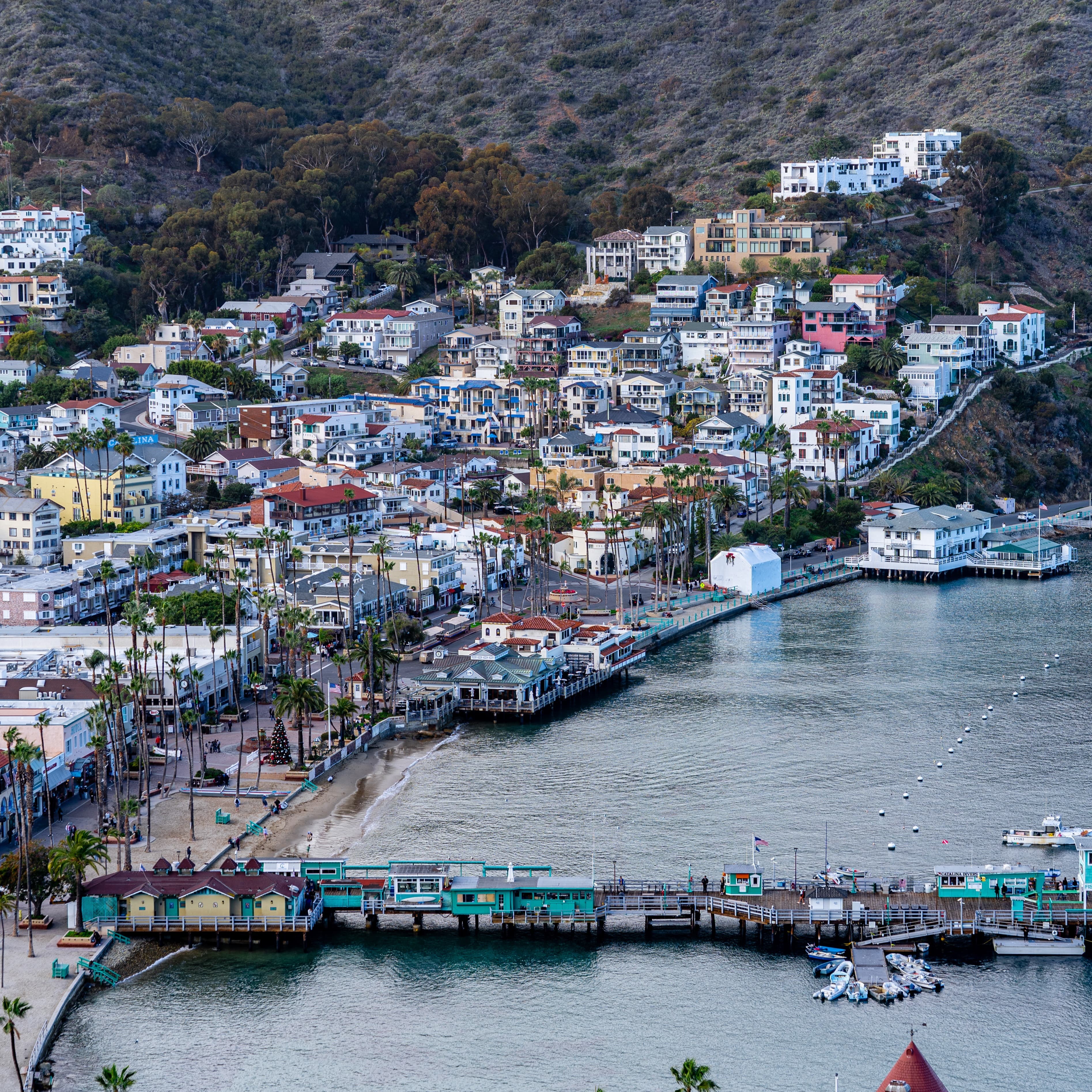 The coast of Santa Catalina with colorful houses and a dock.