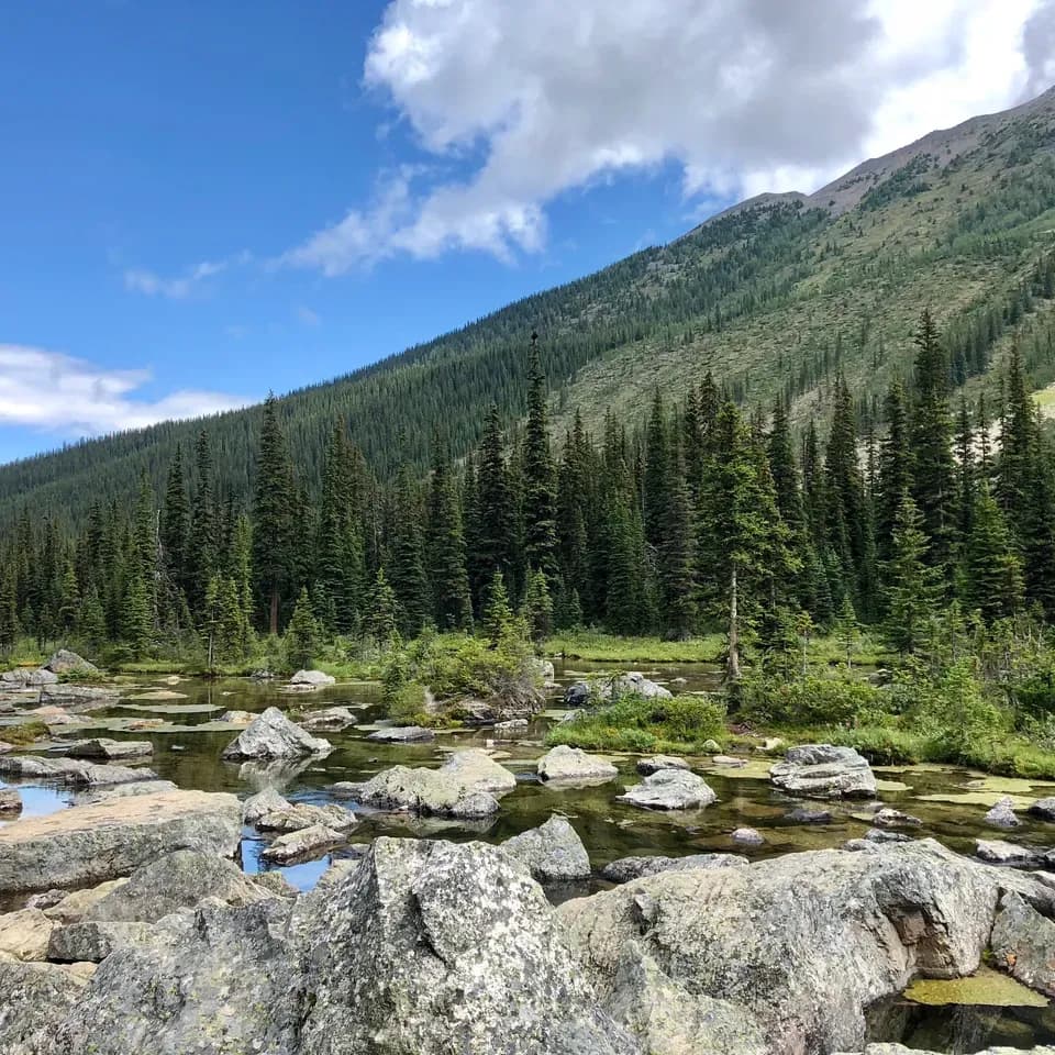 Water body with trees and mountains at the back.