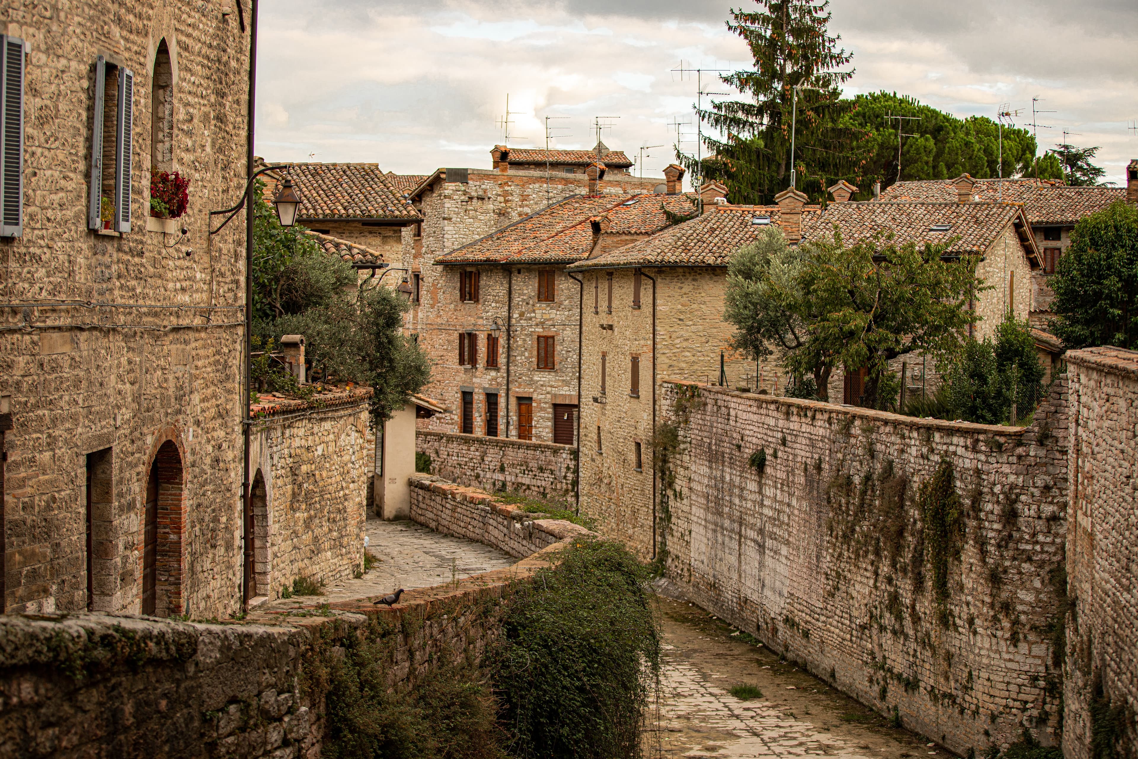A meandering old Italian street.