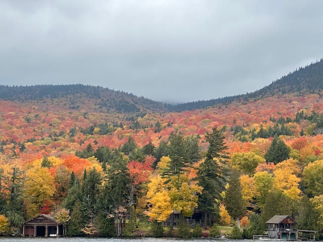 An aerial view of colorful fall trees.