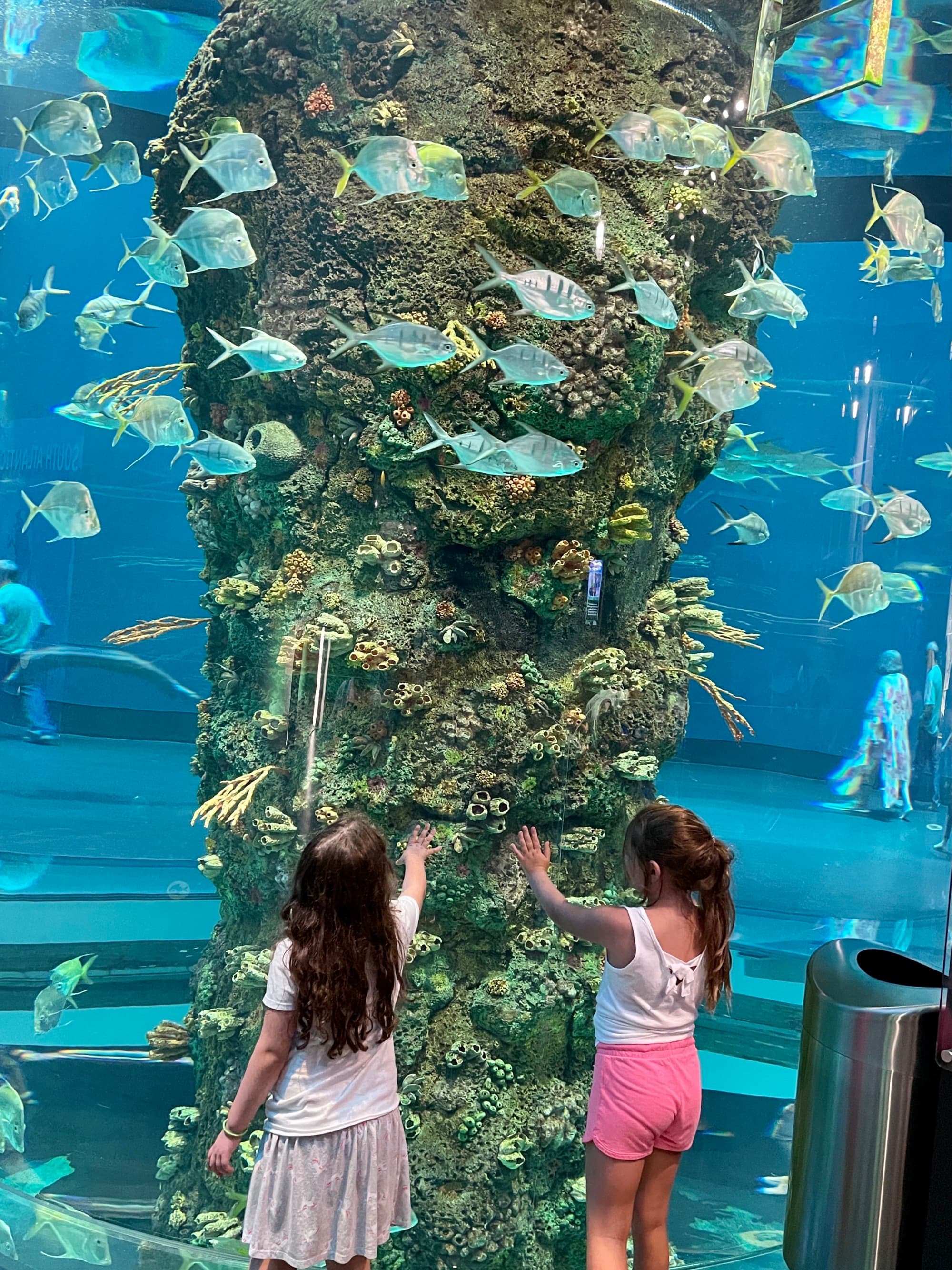 Two kids standing Infront of a big aquarium with light blue fishes.