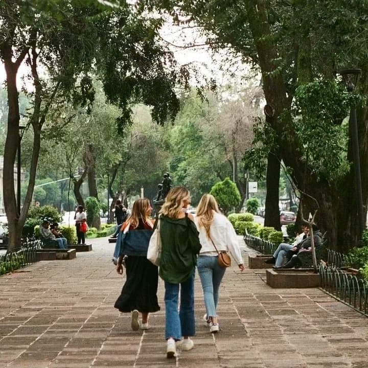 Three women walking down a stone pathway under large trees outside.