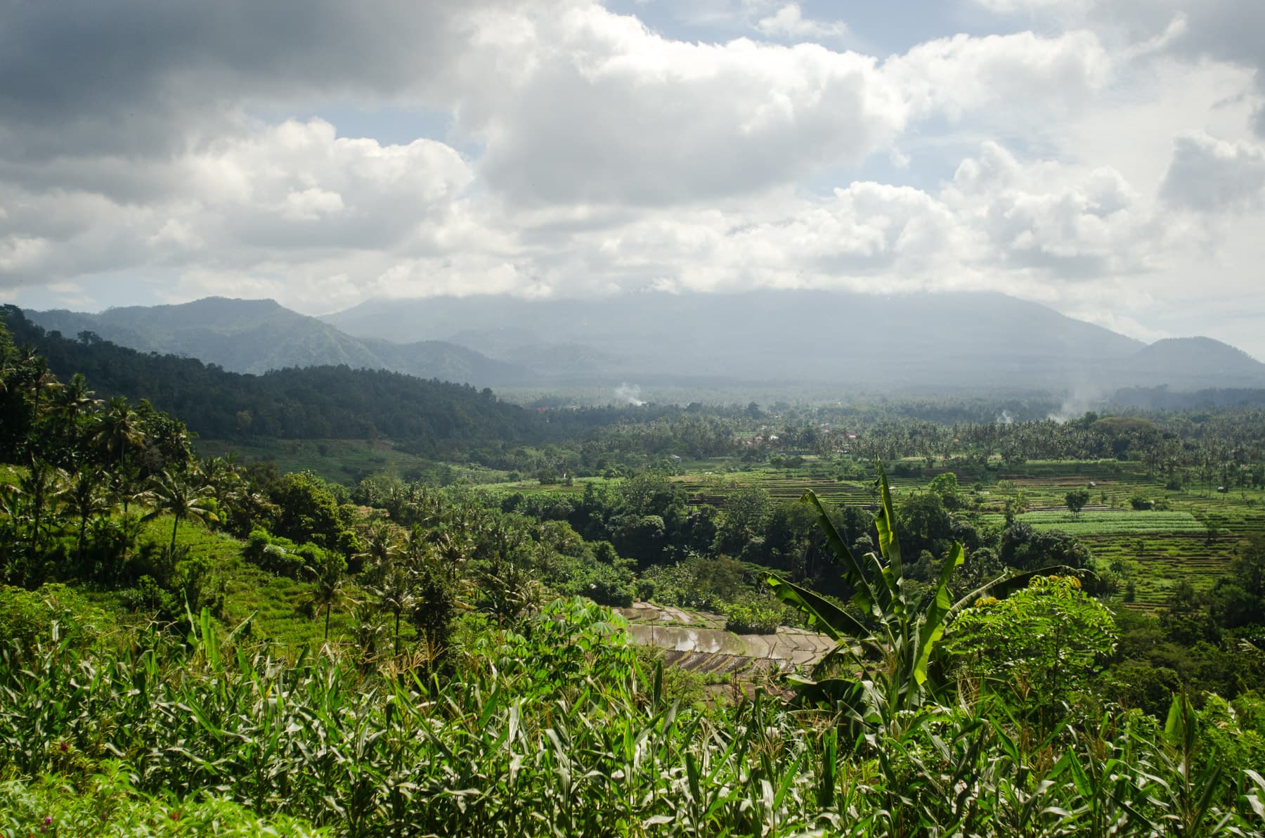 Lush green valley in Bali
