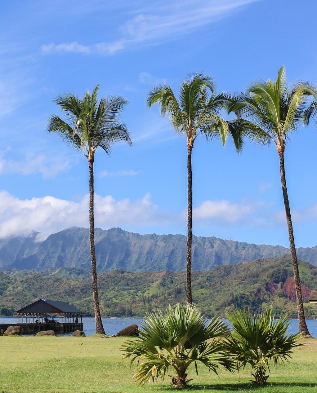 The view of Hanalei Bay is so serene with palm trees, clear skies and a mountain range in the distance.