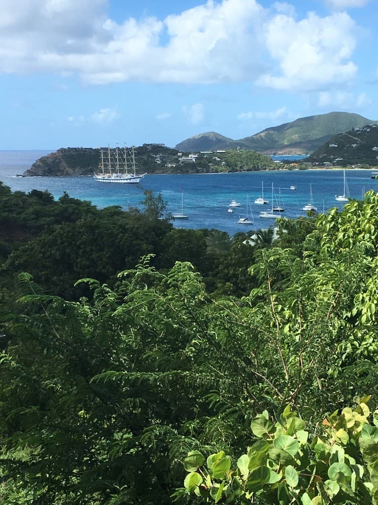 island harbor through the foliage