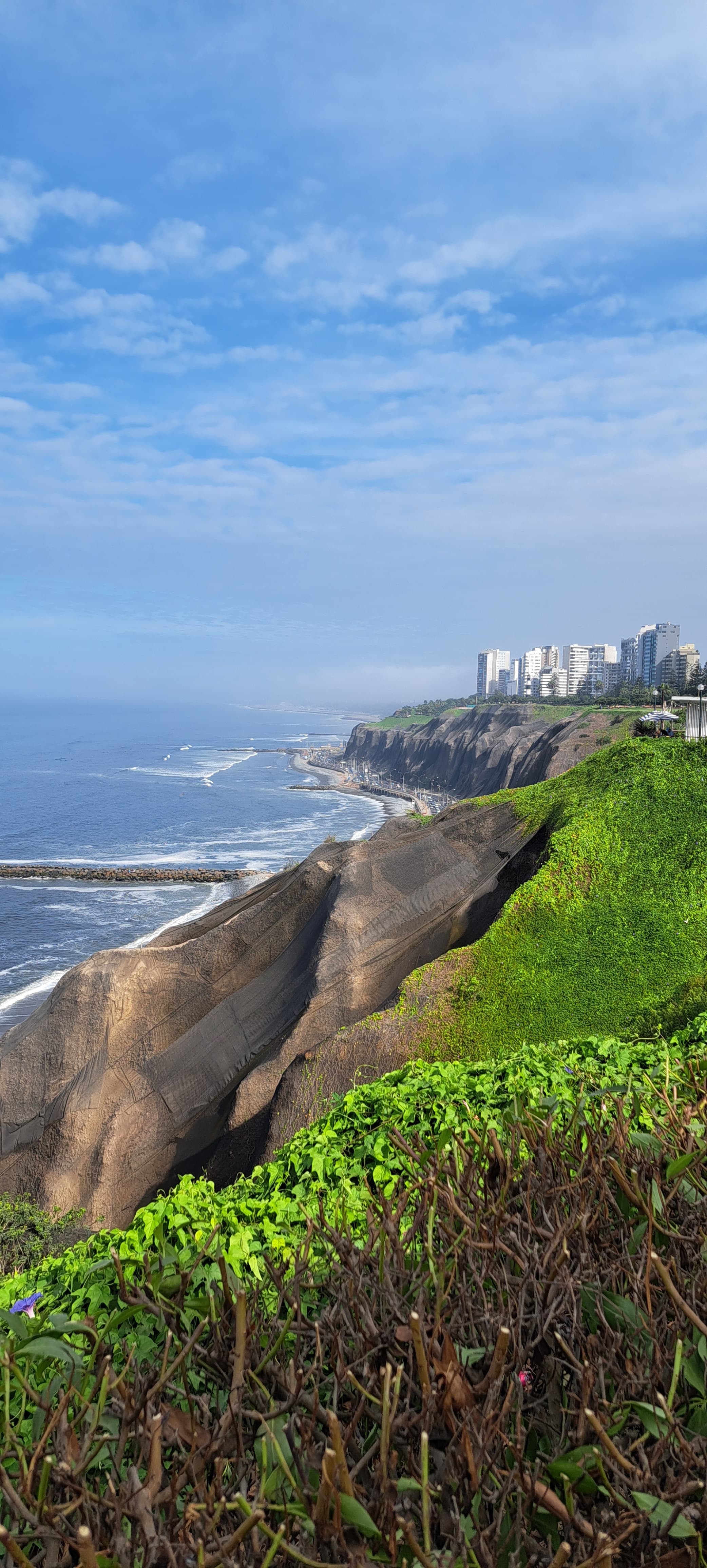 A view of green brush, rocks and a city skyline looking out to the sea.