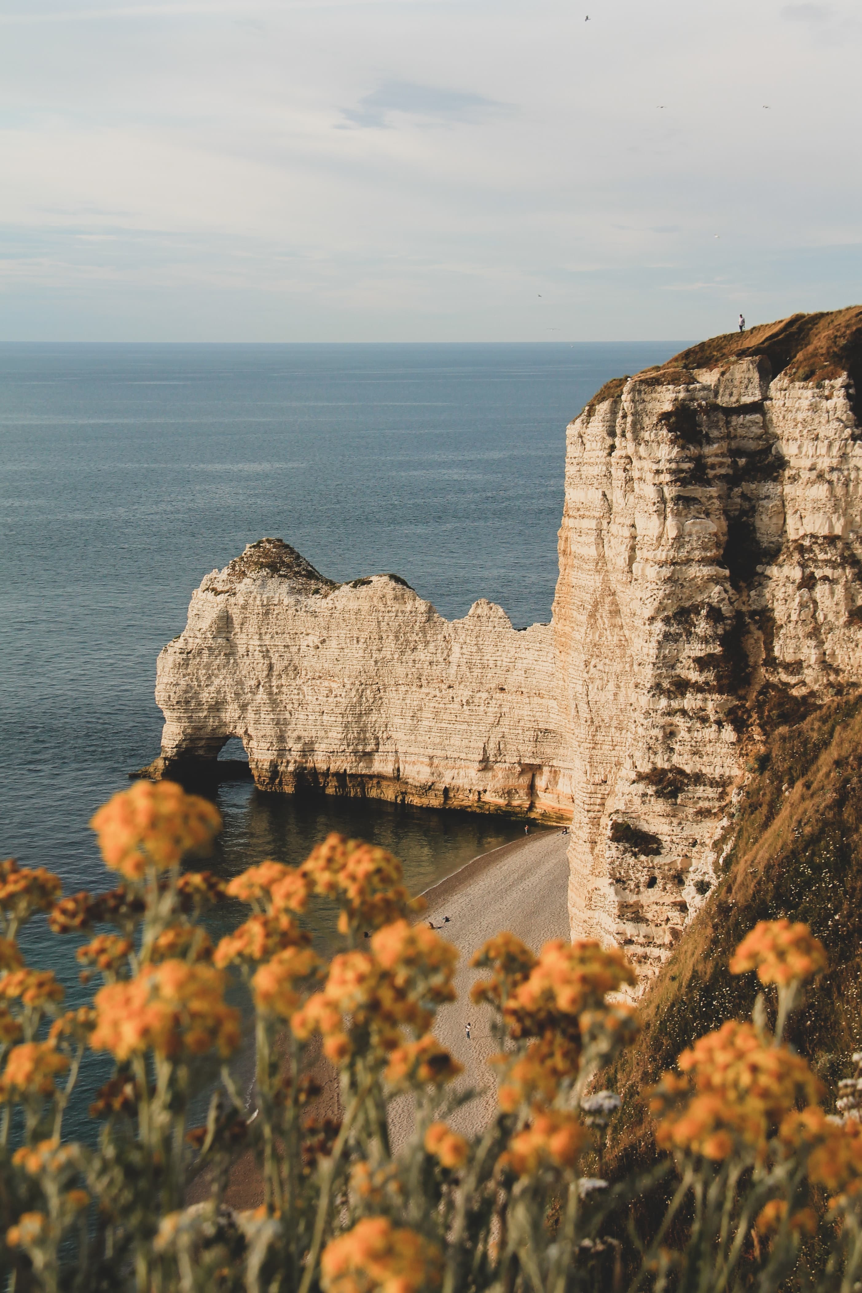 large cliff next to body of water during daytime