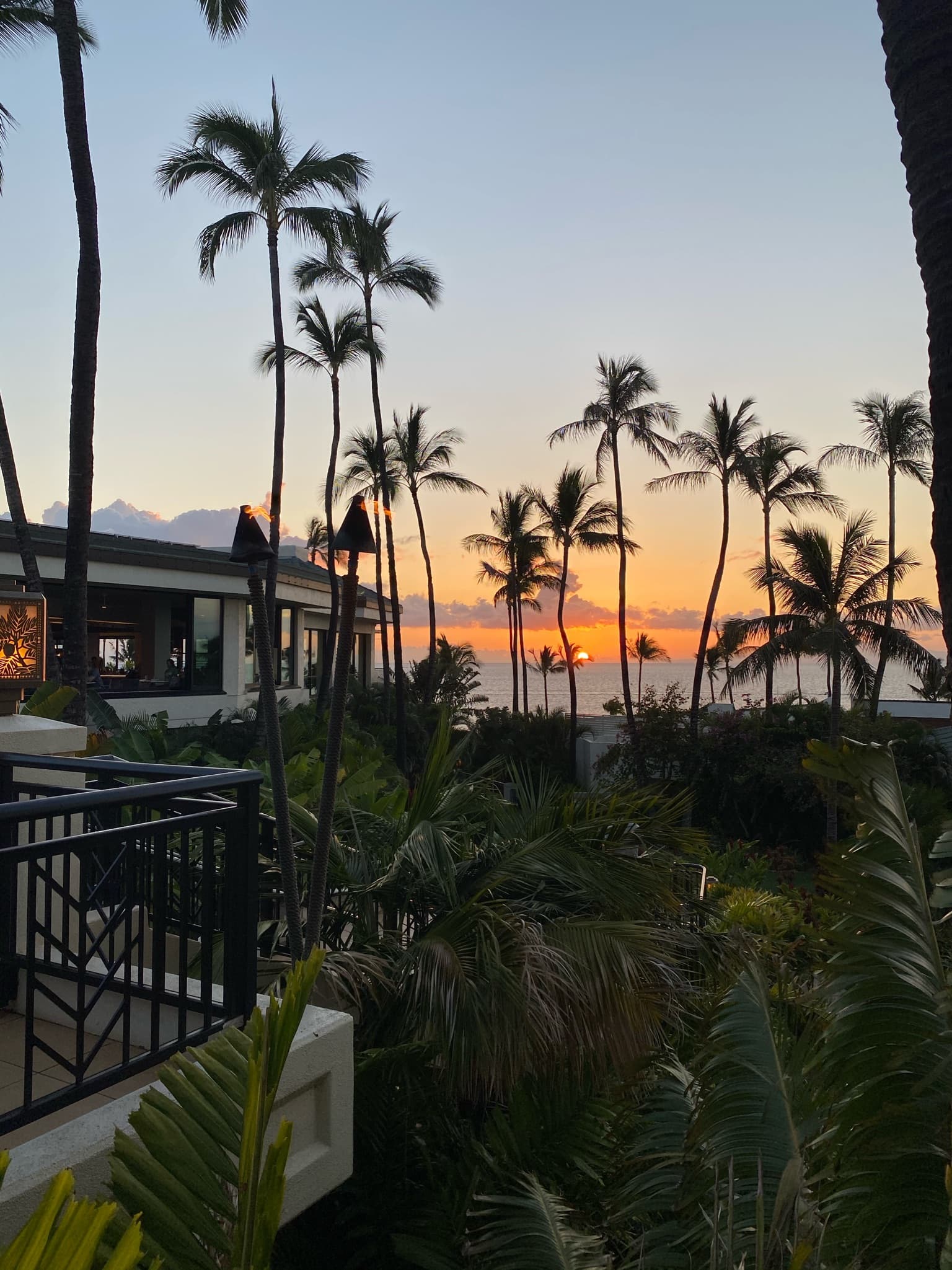 Sunset behind palm trees from a resort.