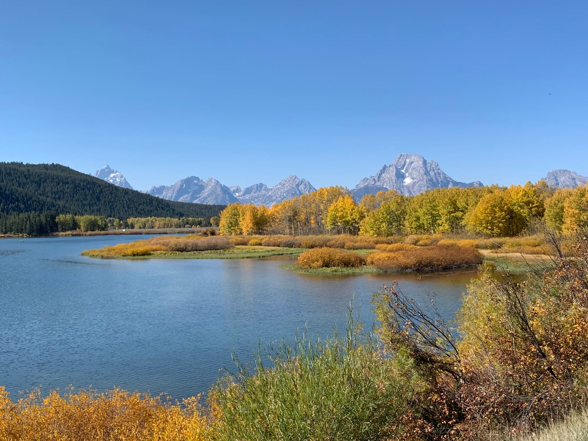 fall foliage on a lake in a mountain region
