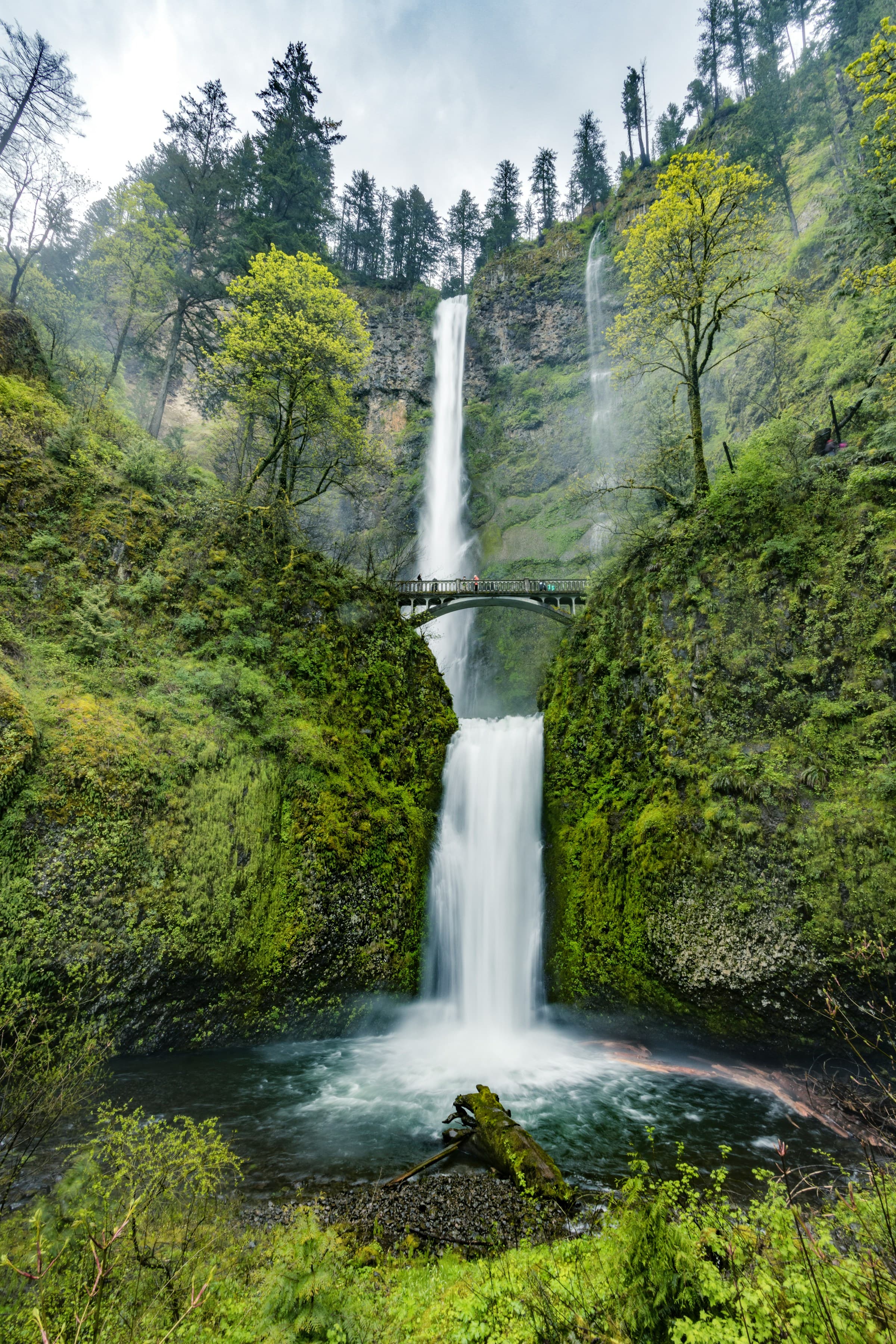 Multnomah Falls in Oregon's Columbia River Gorge