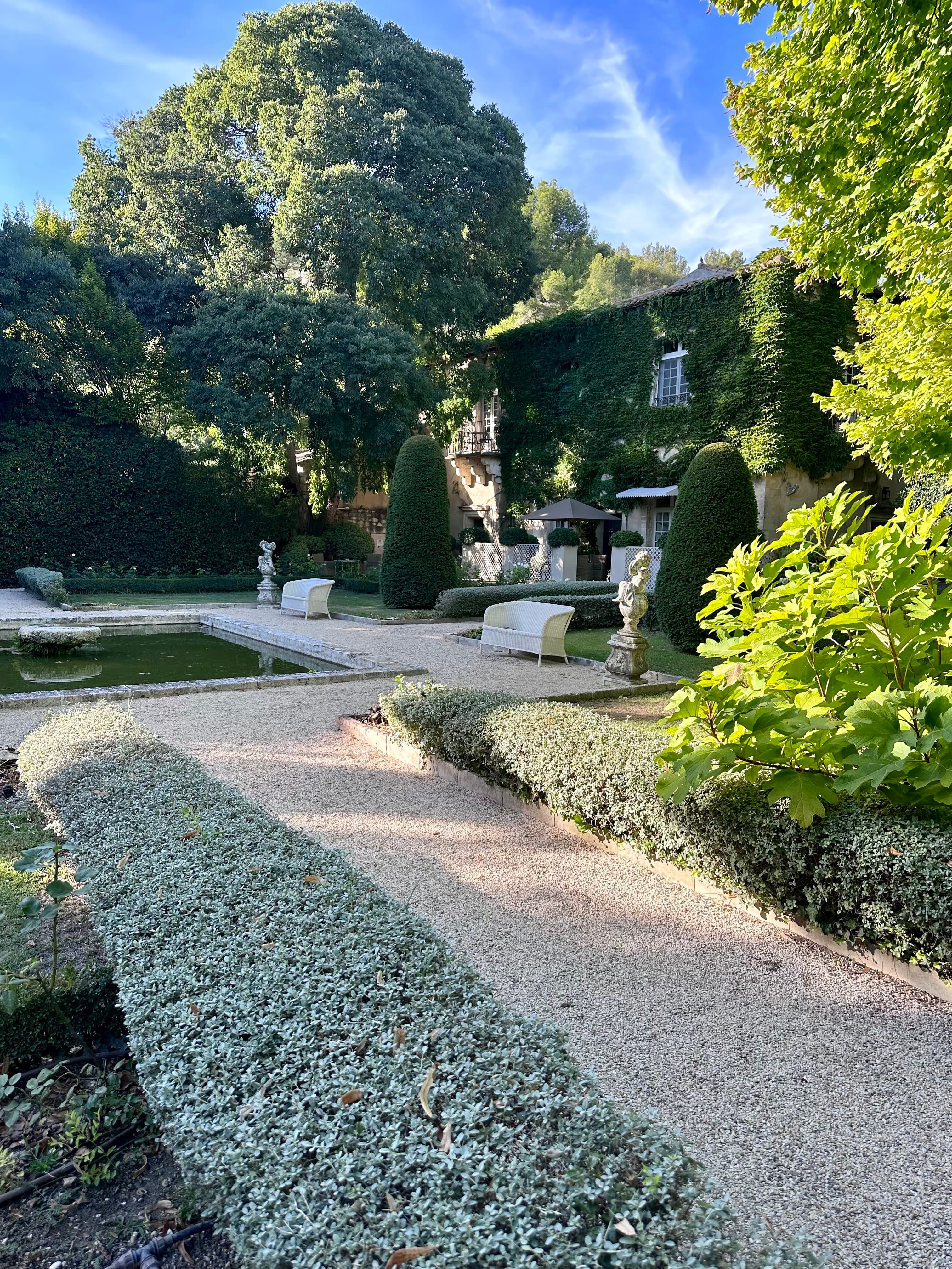 Beautiful green trees